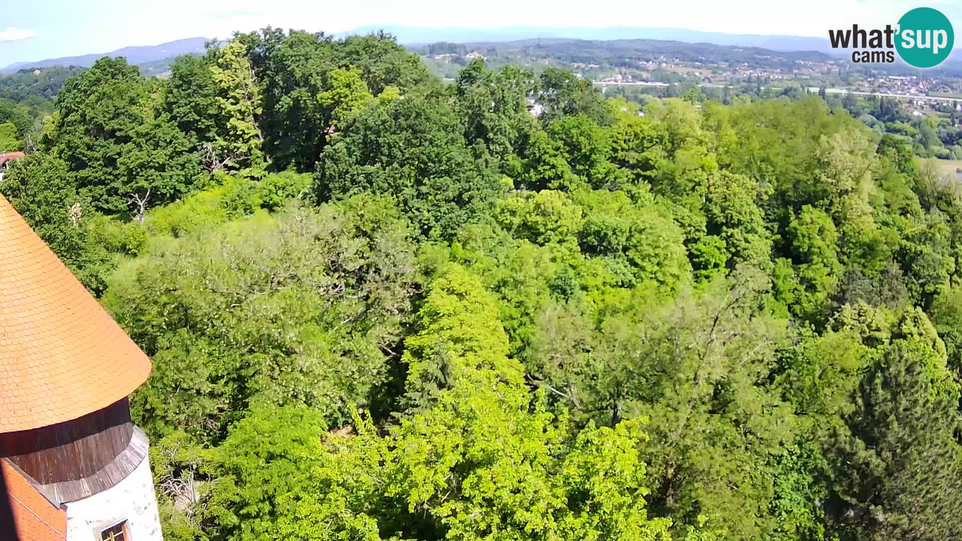 Webcam Castello Dubovac Karlovac – Vista Live sul Castello Storico
