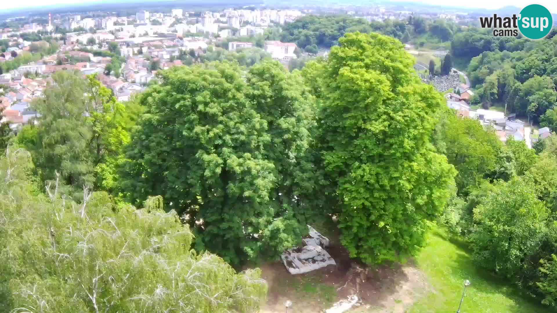 Webcam Karlovac Château Dubovac – Vue en direct de ce monument historique