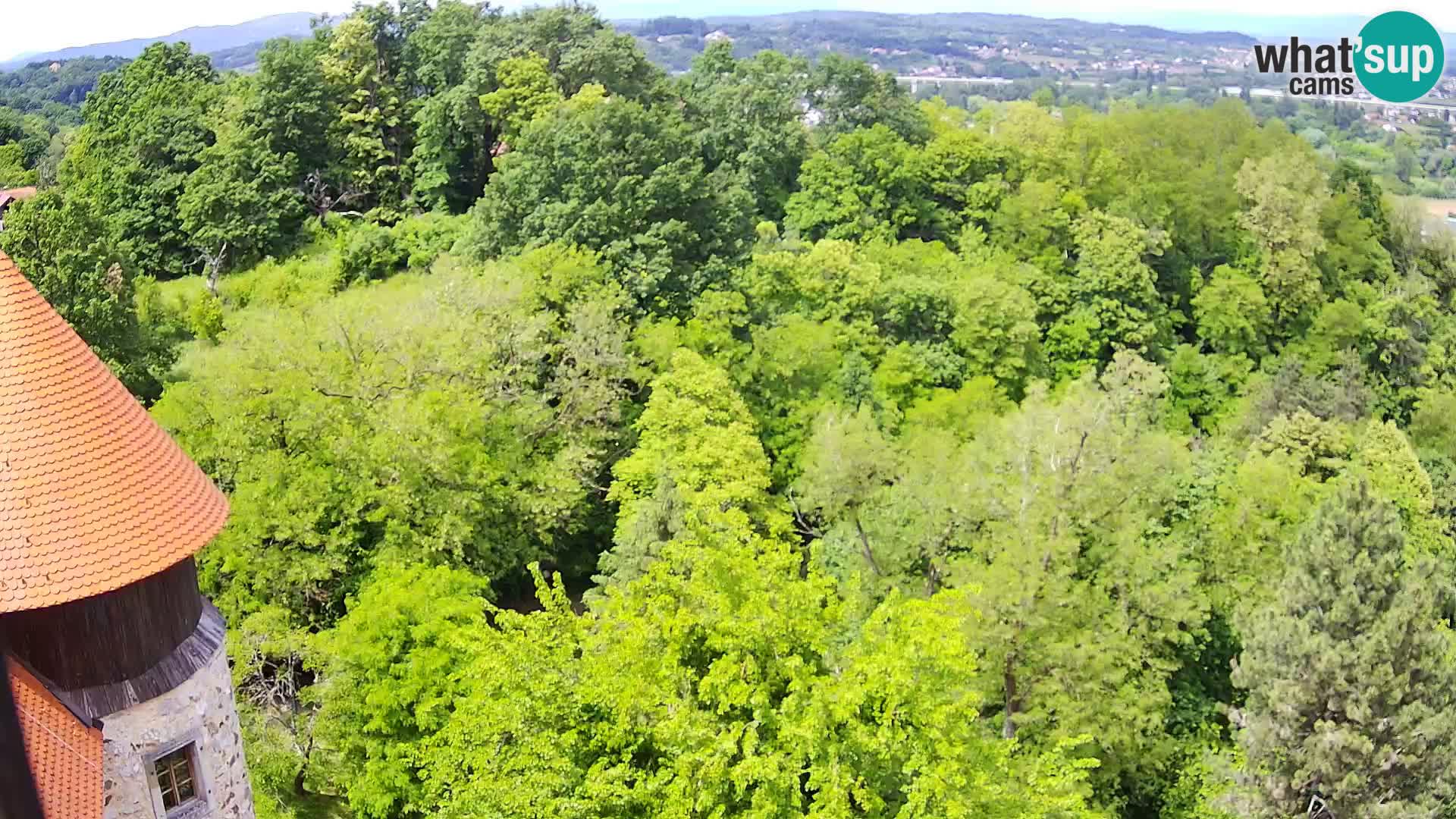 Webcam Karlovac Château Dubovac – Vue en direct de ce monument historique