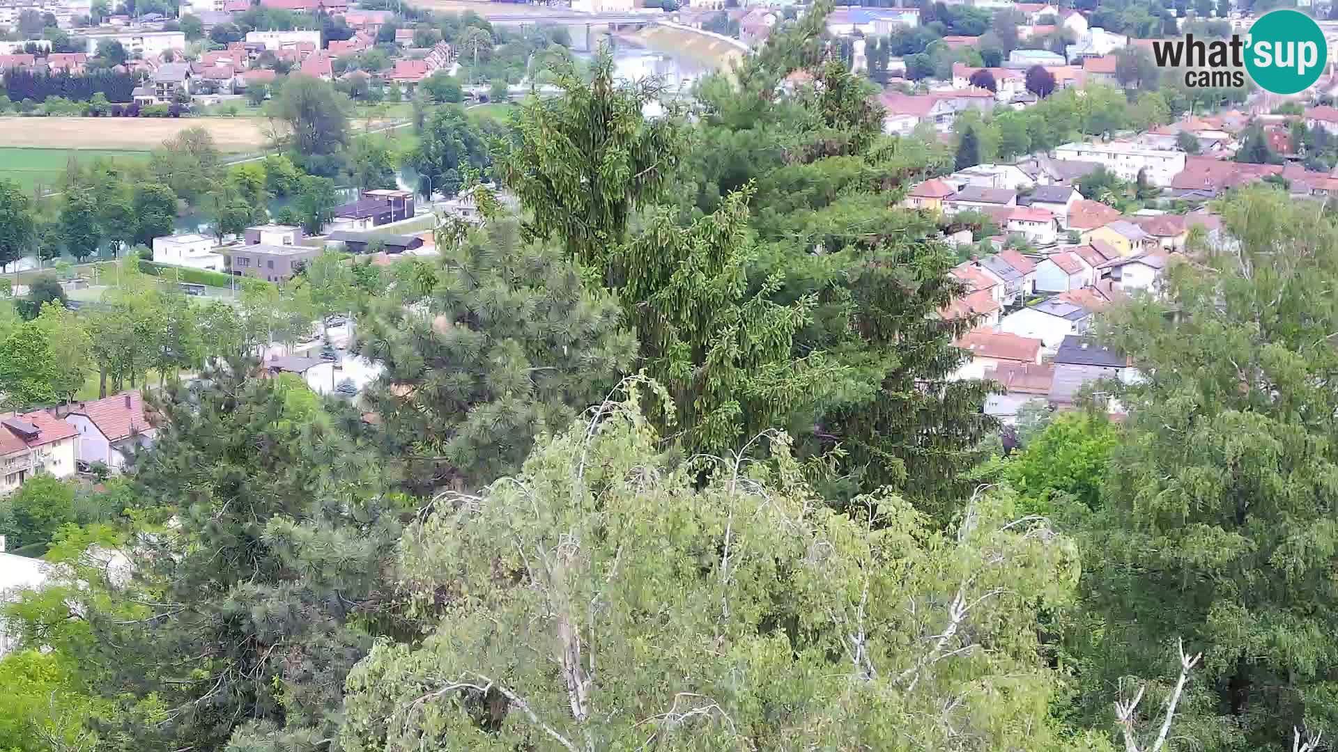 Webcam Karlovac Dubovac Castle – Live View of Karlovac’s Historic Landmark
