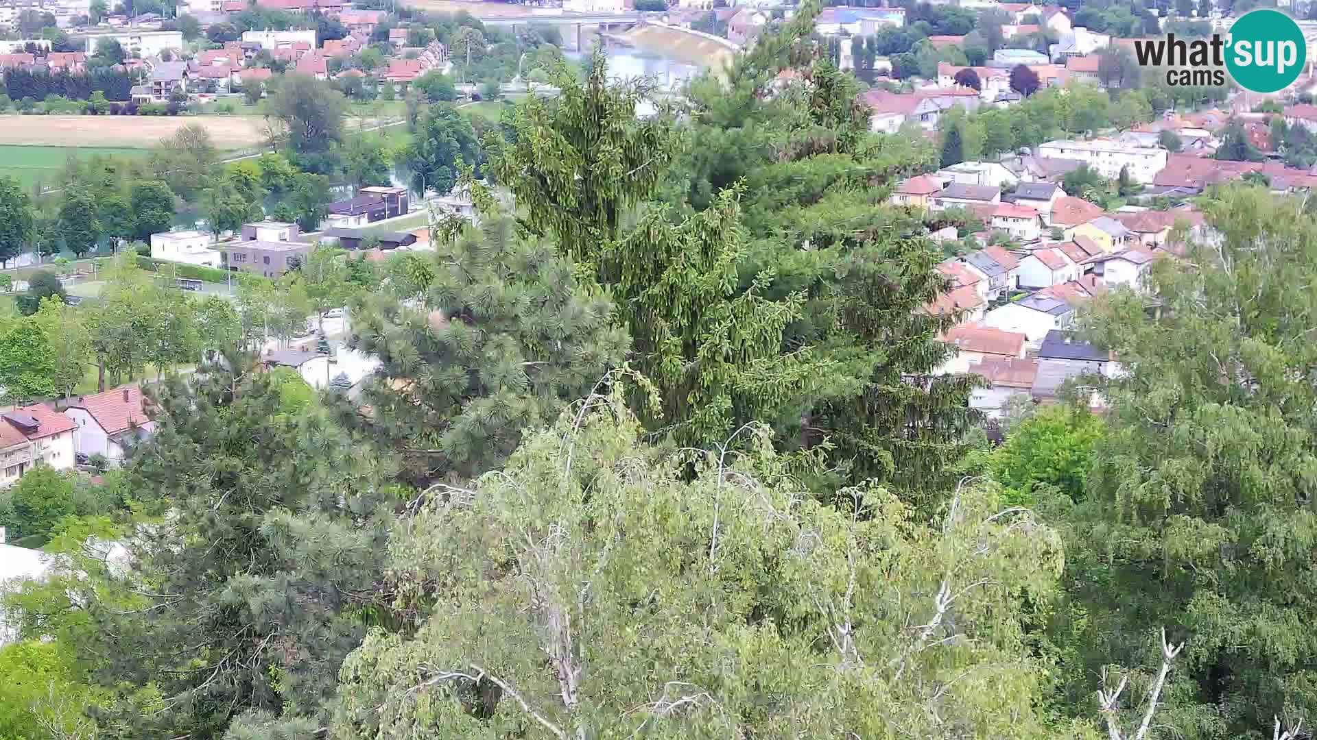 Webcam Castello Dubovac Karlovac – Vista Live sul Castello Storico