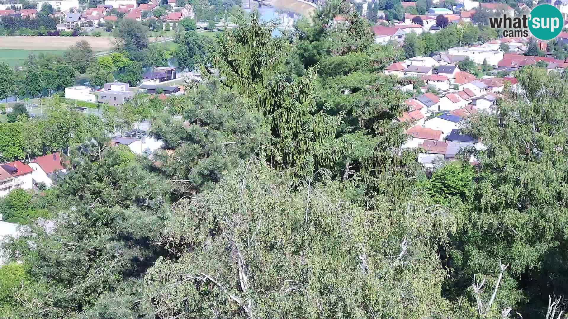 Web kamera Karlovac – Dvorac Dubovac uživo