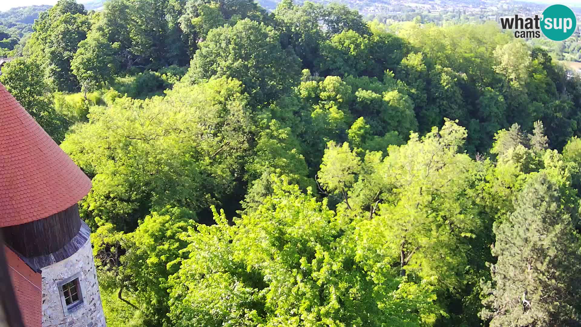 Webcam Karlstadt Burg Dubovac – Liveblick auf das historische Wahrzeichen