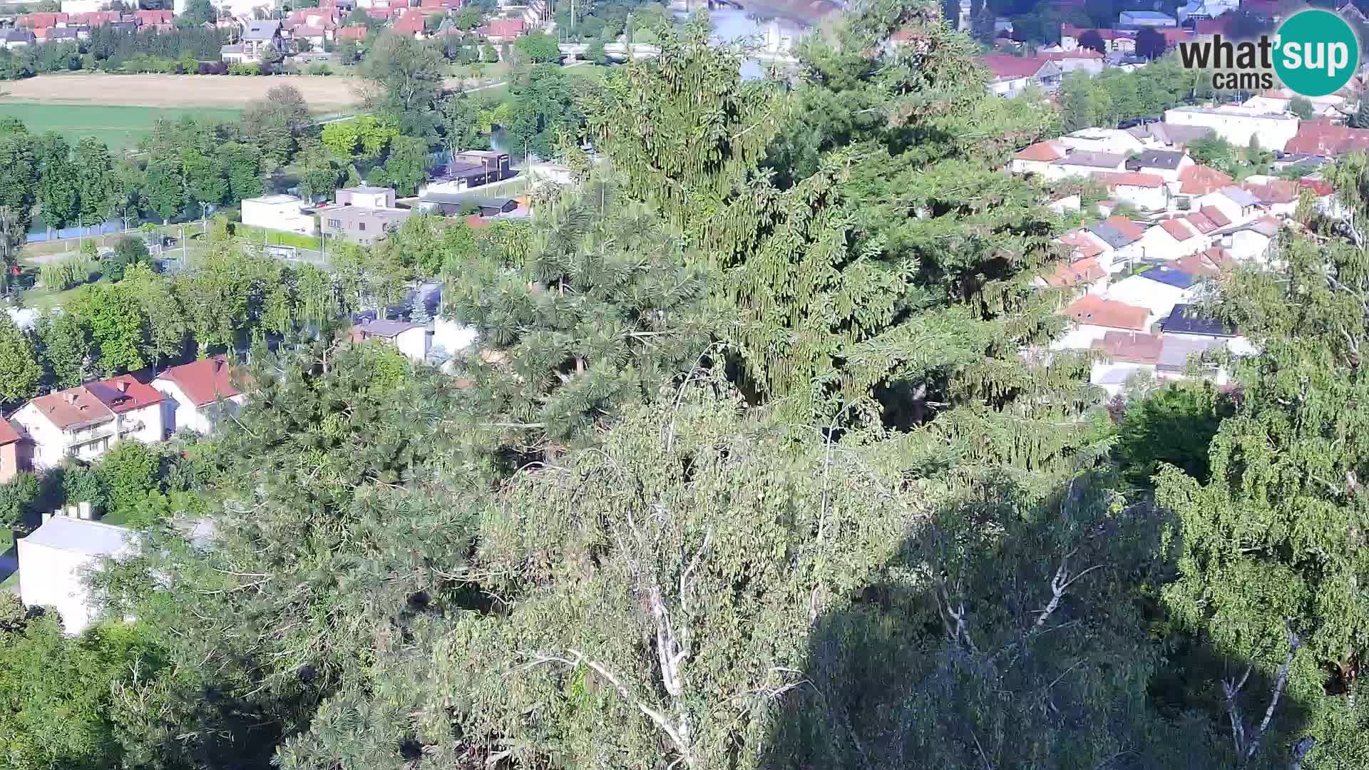 Webcam Karlstadt Burg Dubovac – Liveblick auf das historische Wahrzeichen