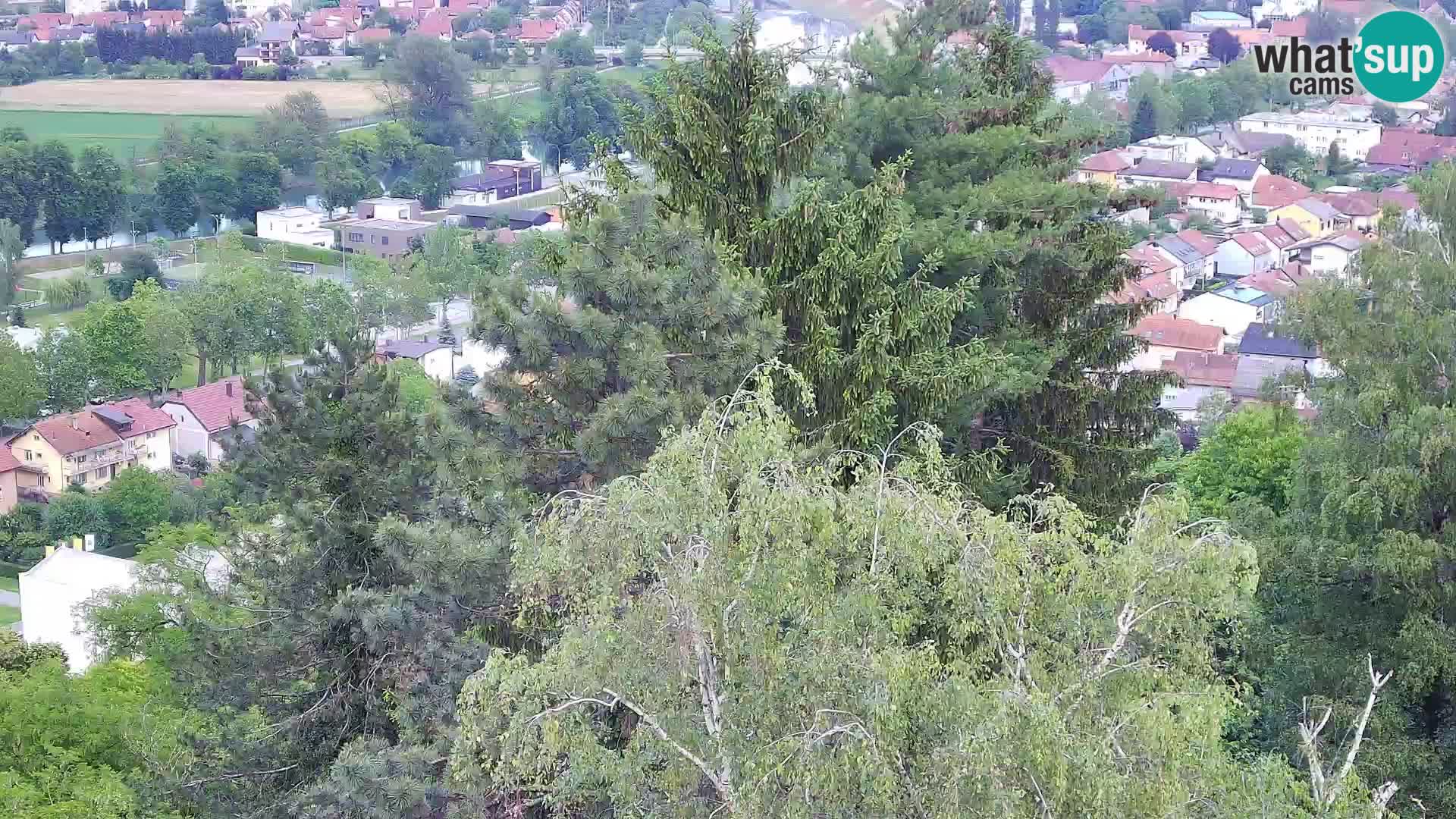 Spletna kamera Karlovac Dubovac grad – Pogled v živo na zgodovinsko znamenitost Karlovca