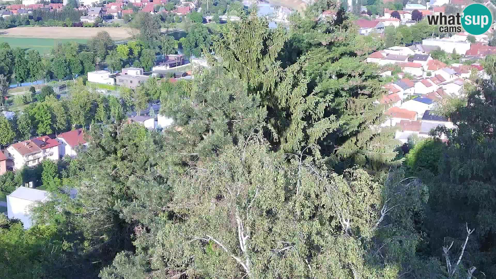 Spletna kamera Karlovac Dubovac grad – Pogled v živo na zgodovinsko znamenitost Karlovca