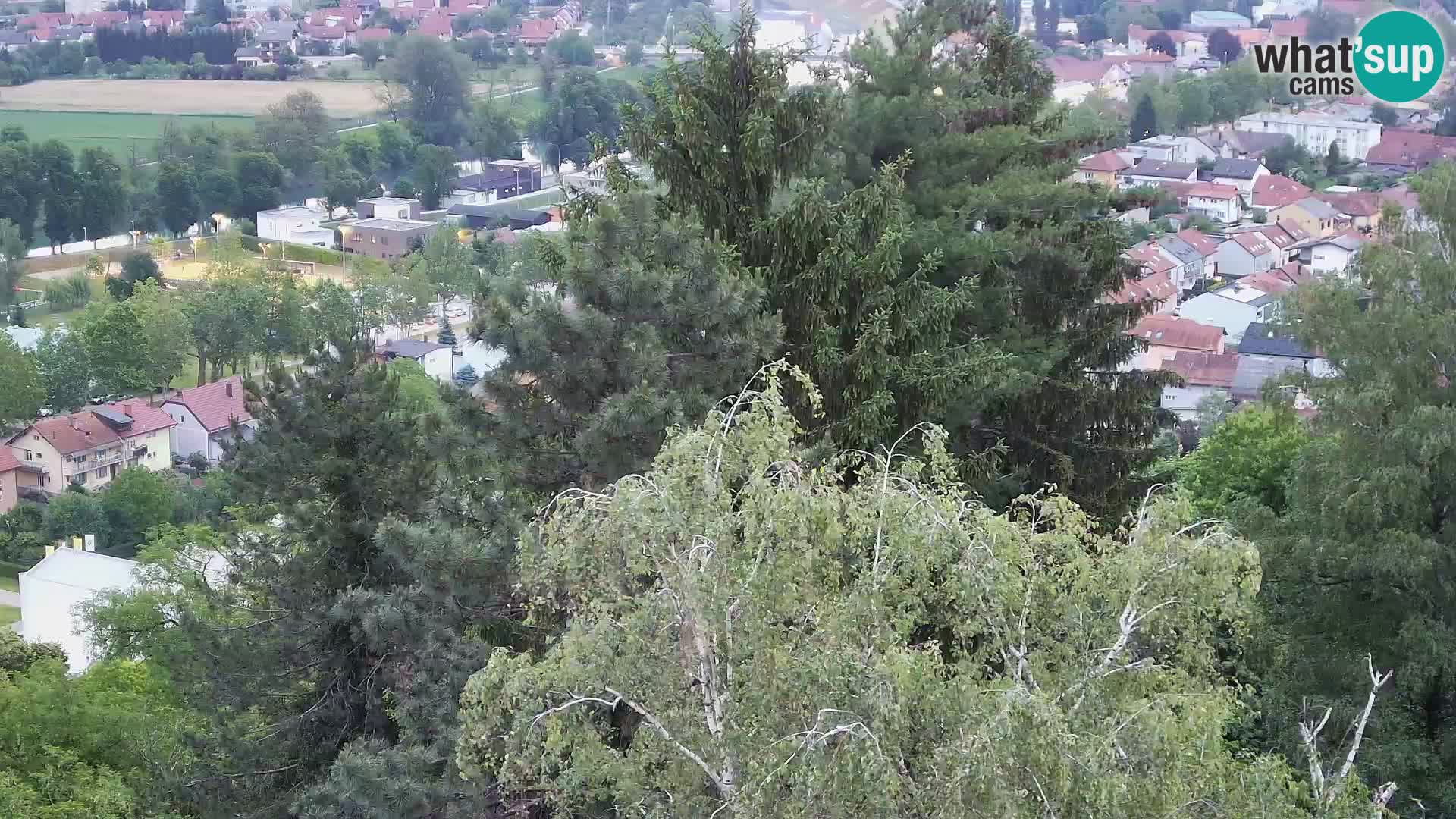 Web kamera Karlovac – Dvorac Dubovac uživo