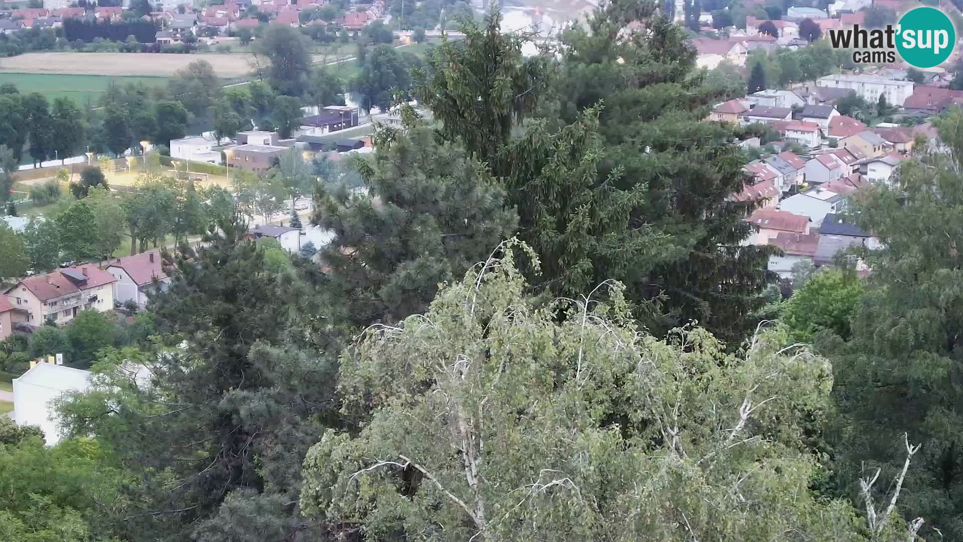 Webcam Karlovac Château Dubovac – Vue en direct de ce monument historique