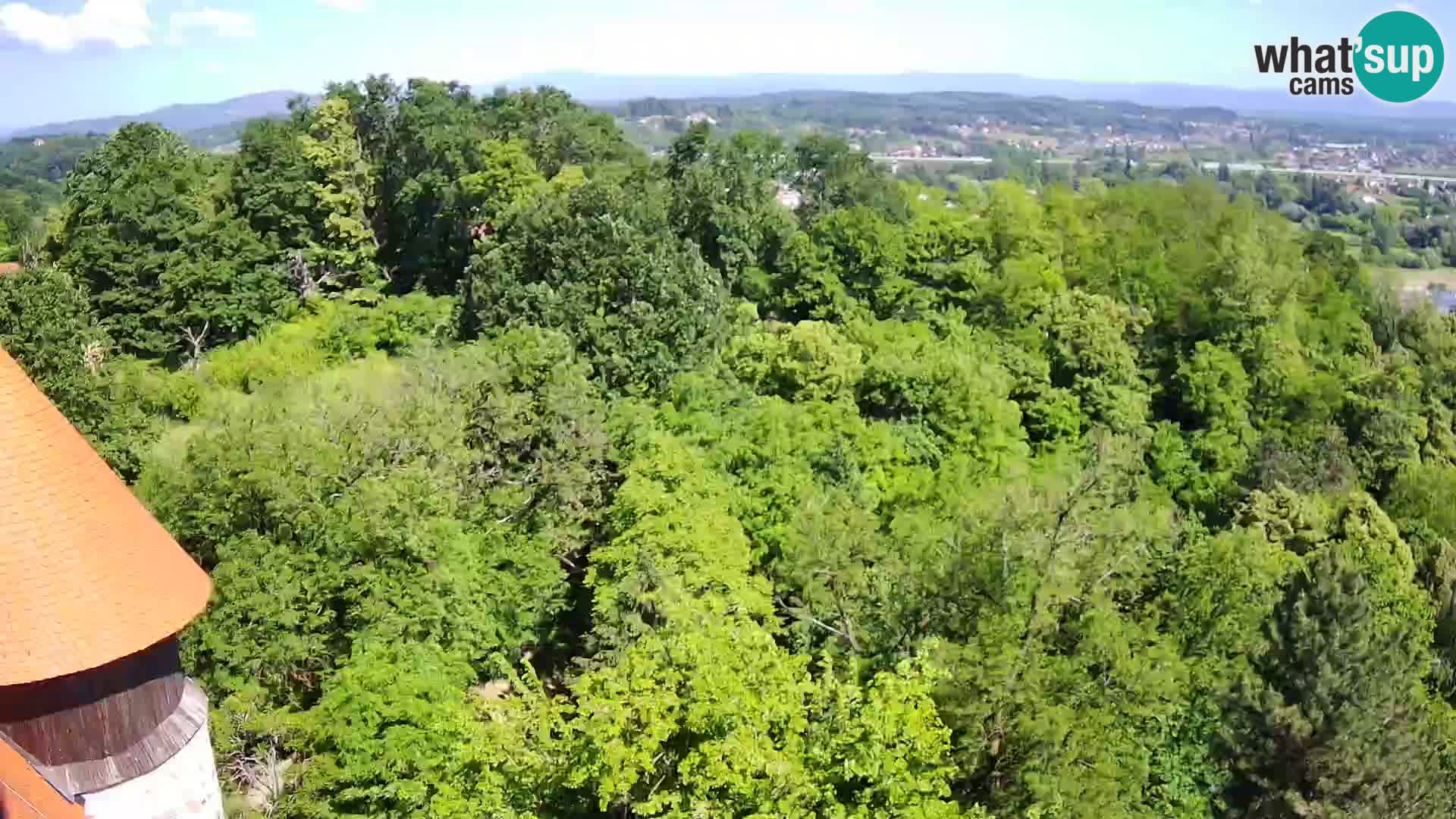 Webcam Castillo Dubovac Karlovac – Vista en directo del histórico castillo