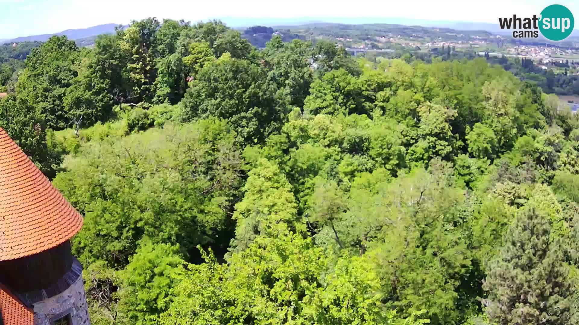 Webcam Castillo Dubovac Karlovac – Vista en directo del histórico castillo