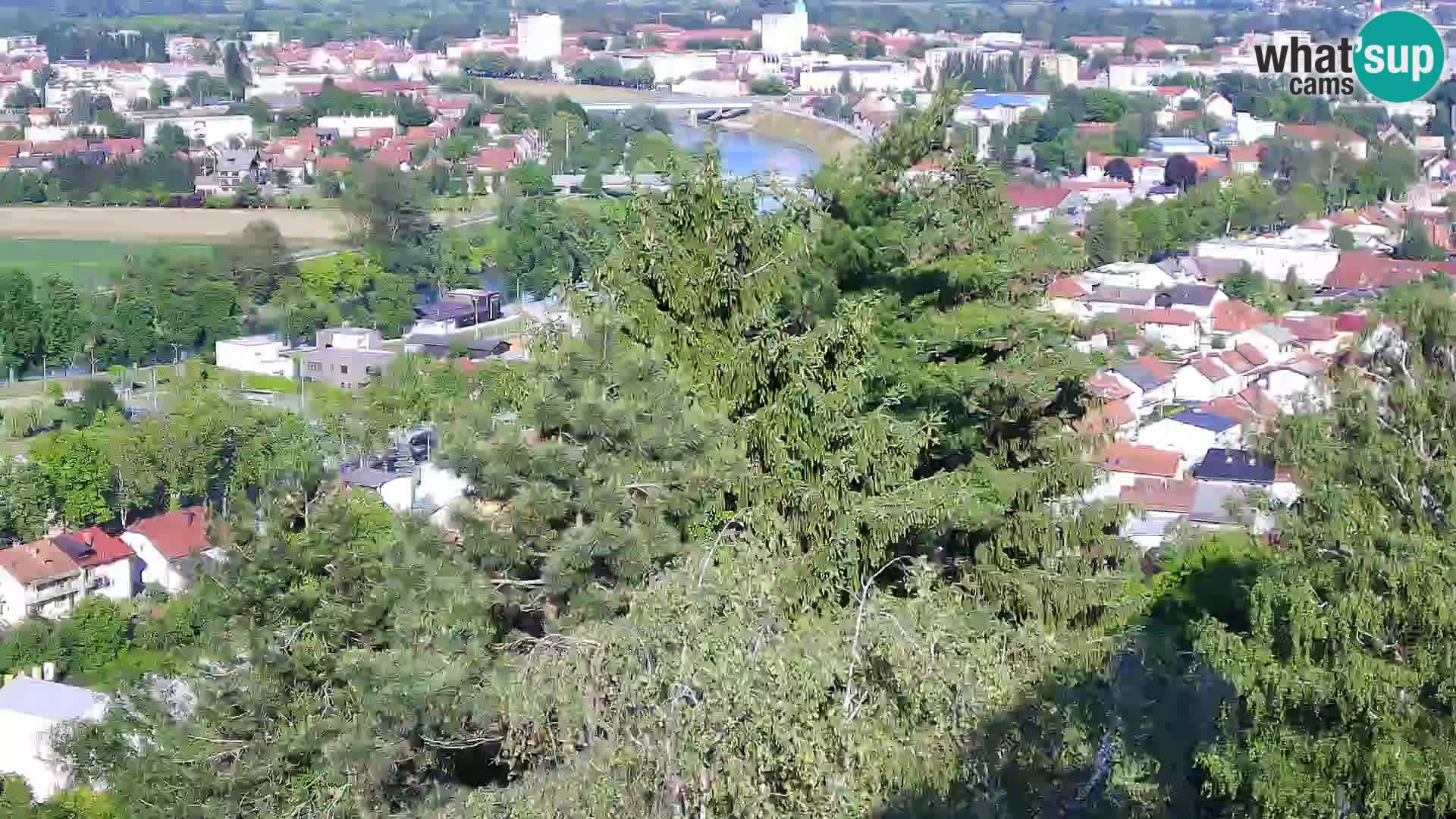 Webcam Karlovac Dubovac Castle – Live View of Karlovac’s Historic Landmark