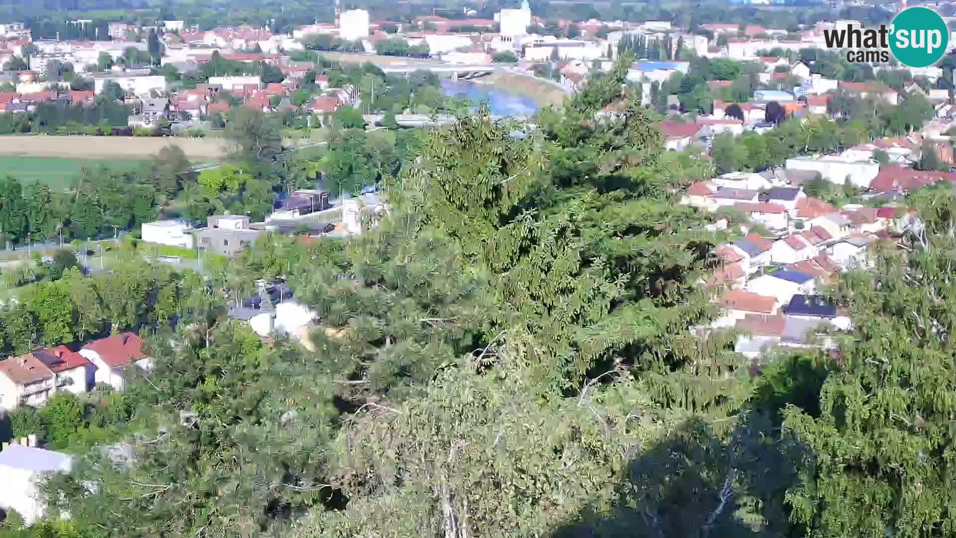 Webcam Karlstadt Burg Dubovac – Liveblick auf das historische Wahrzeichen