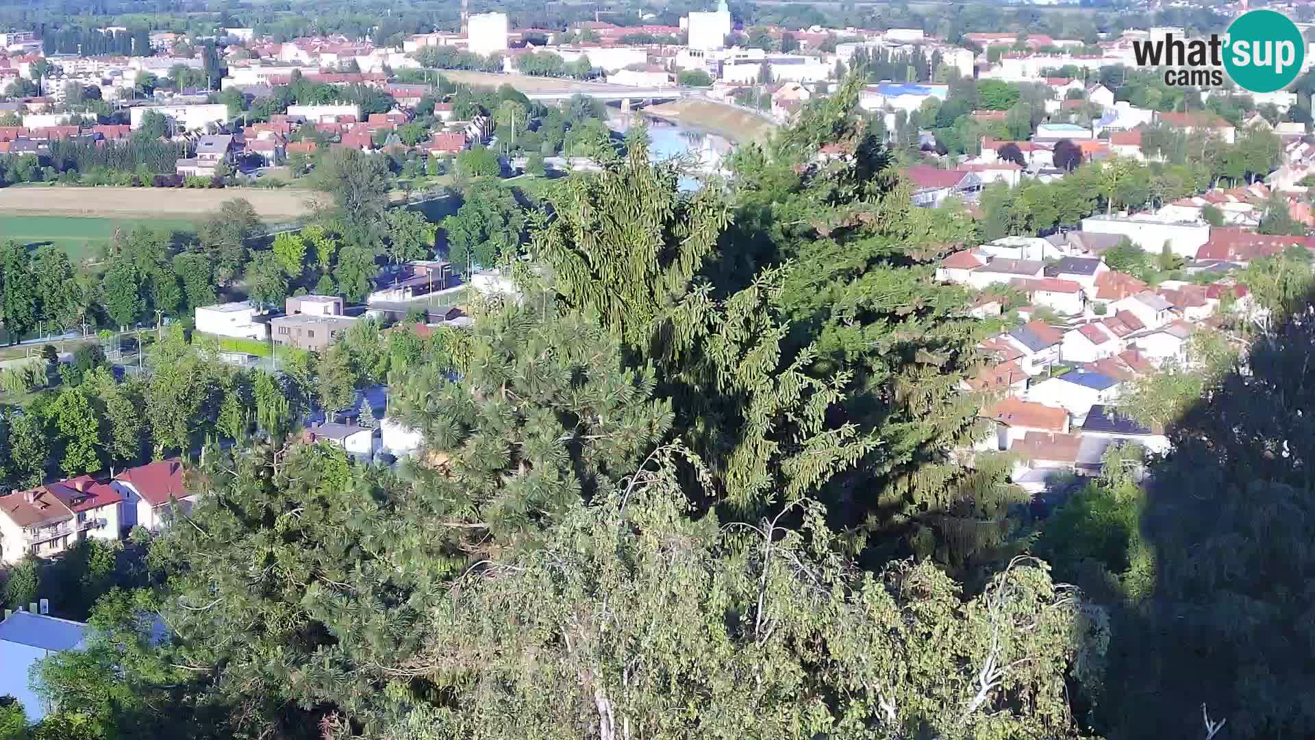 Web kamera Karlovac – Dvorac Dubovac uživo