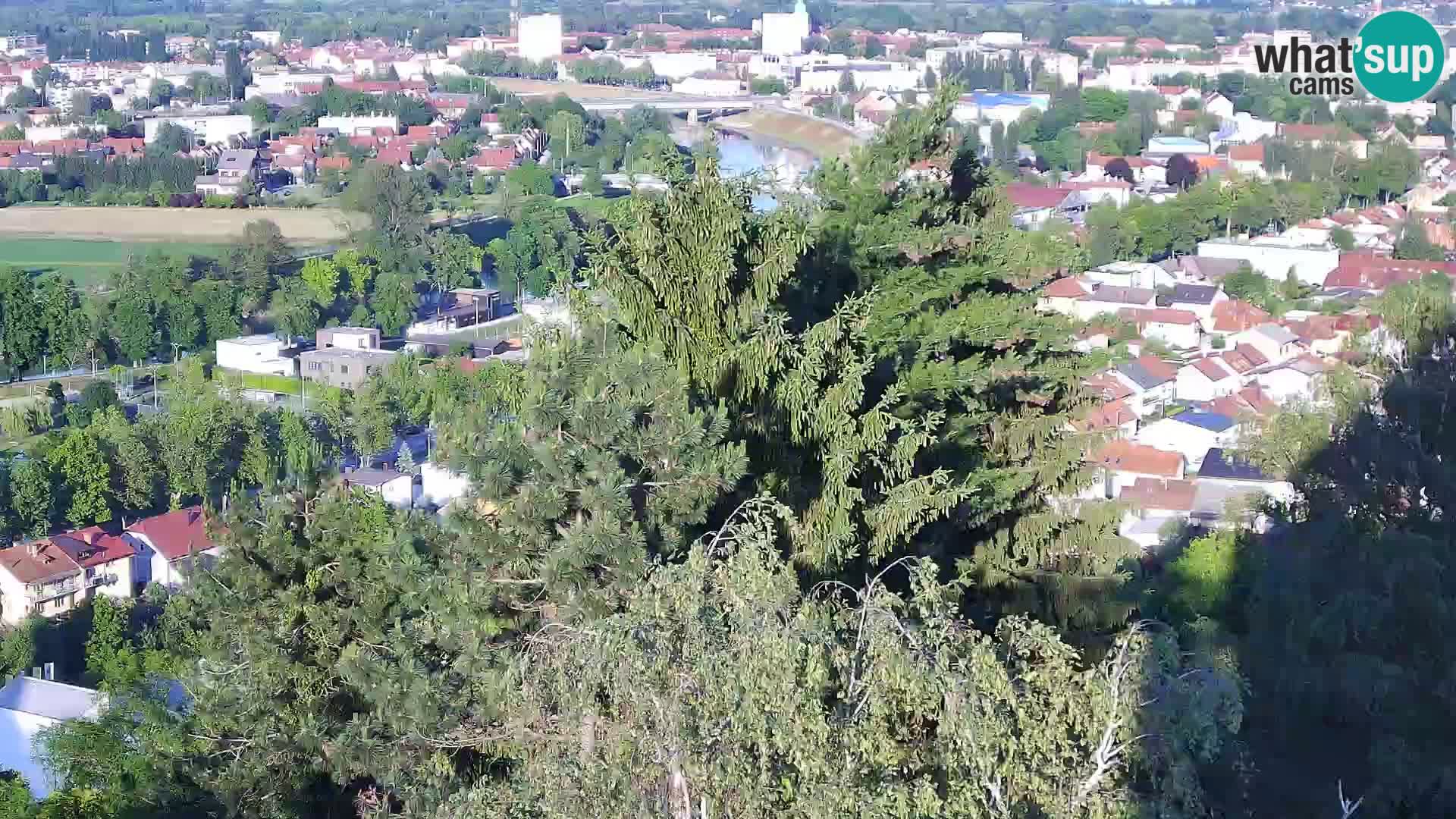 Webcam Castillo Dubovac Karlovac – Vista en directo del histórico castillo