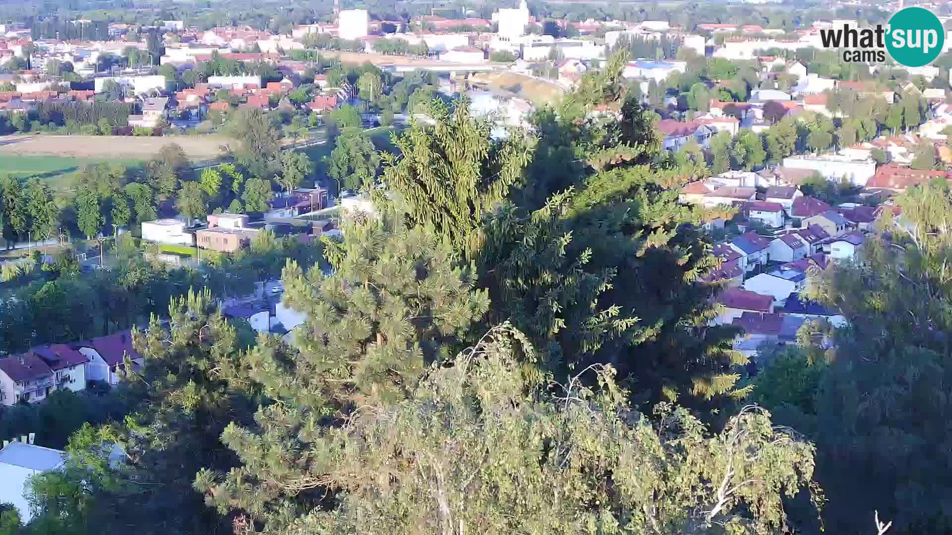 Webcam Karlovac Château Dubovac – Vue en direct de ce monument historique