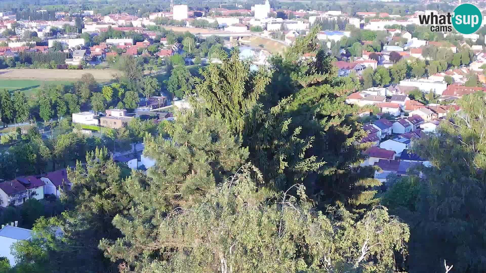 Webcam Castello Dubovac Karlovac – Vista Live sul Castello Storico