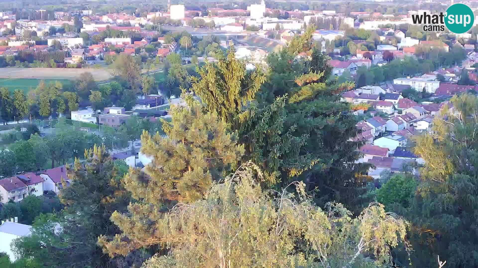 Webcam Castello Dubovac Karlovac – Vista Live sul Castello Storico