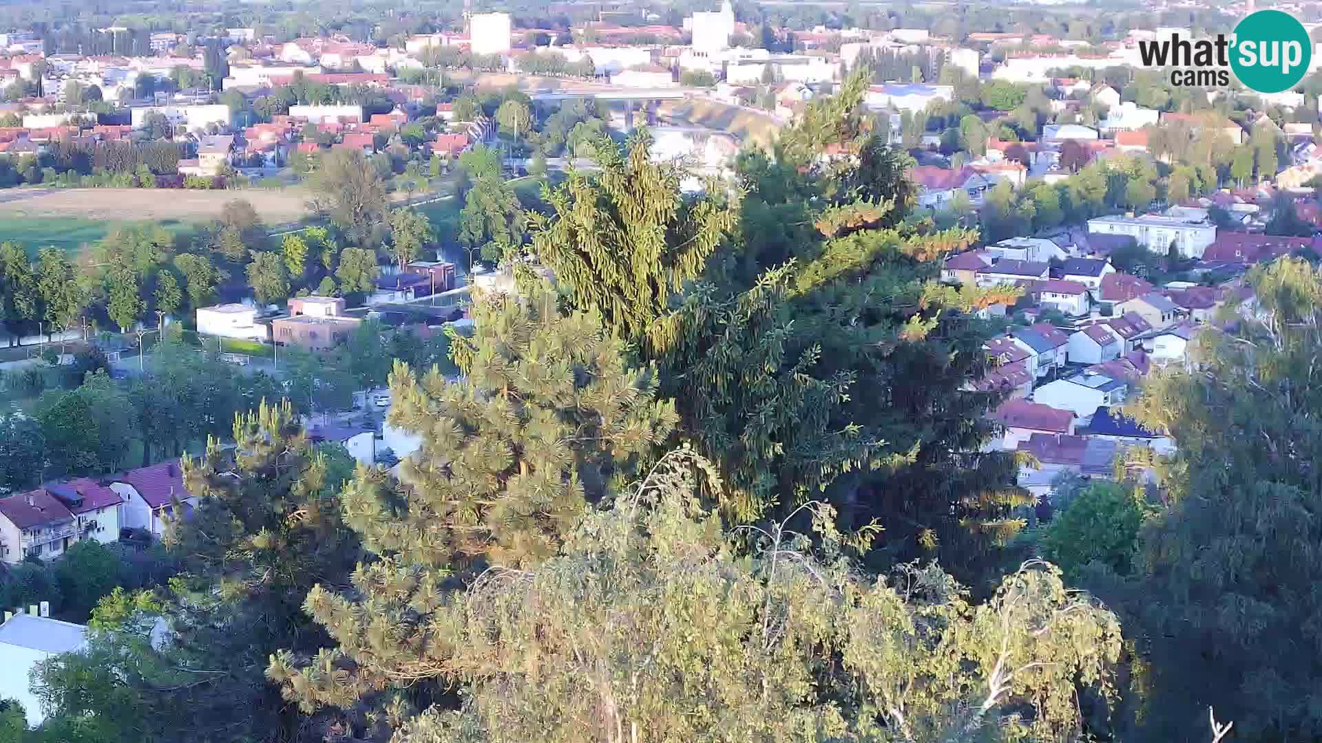 Webcam Castello Dubovac Karlovac – Vista Live sul Castello Storico