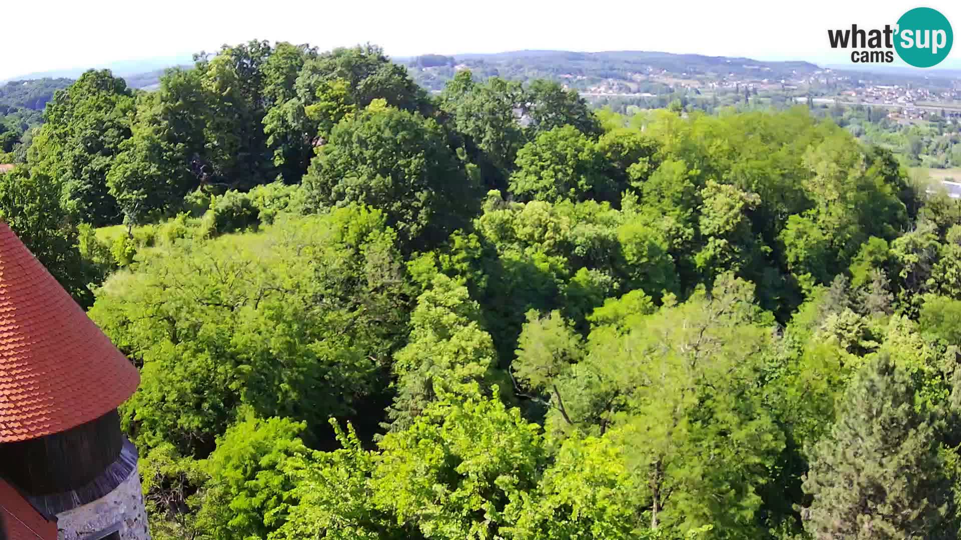 Web kamera Karlovac – Dvorac Dubovac uživo