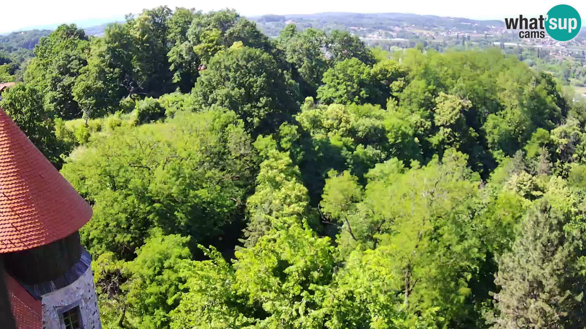 Webcam Castillo Dubovac Karlovac – Vista en directo del histórico castillo