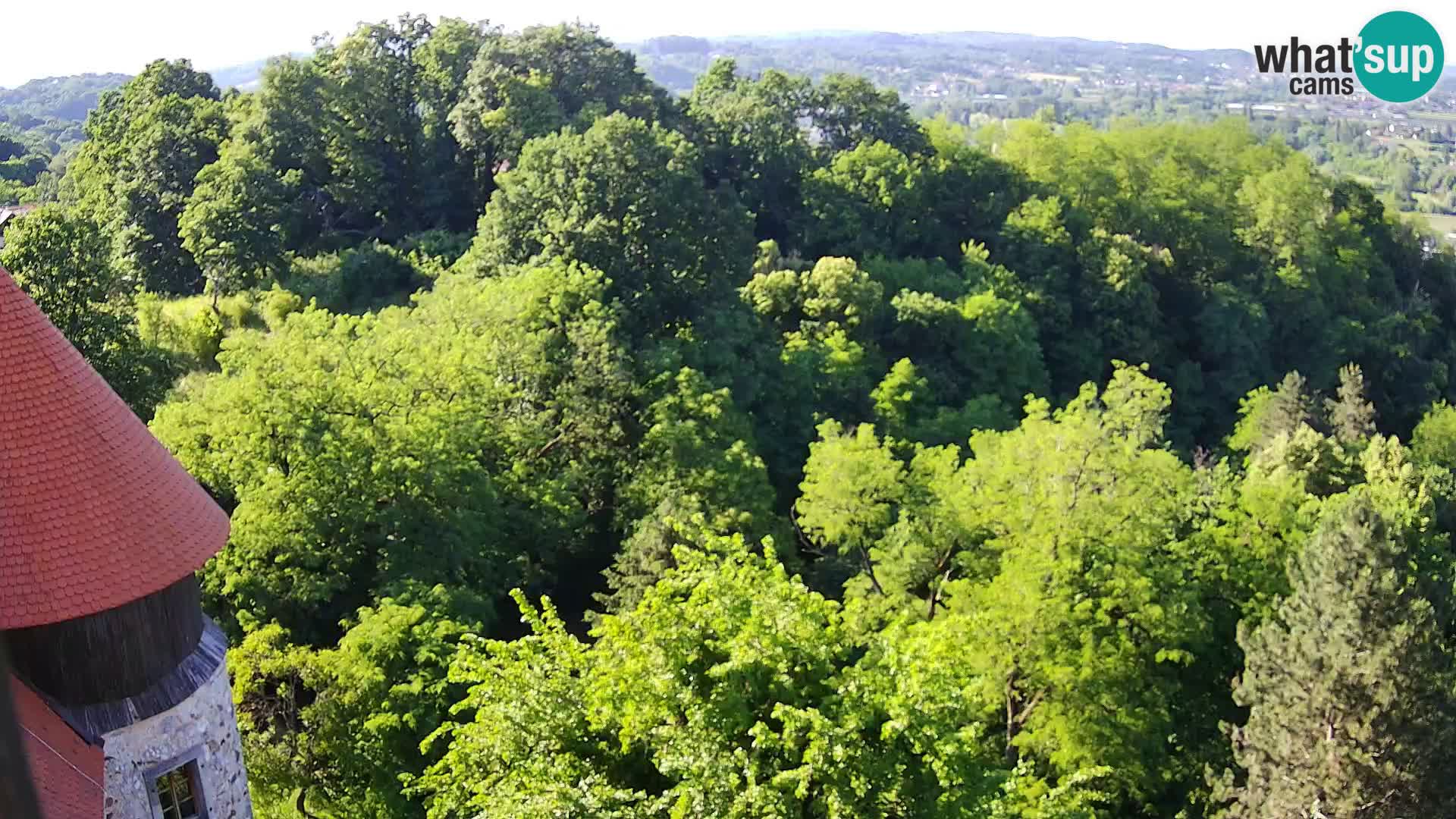 Spletna kamera Karlovac Dubovac grad – Pogled v živo na zgodovinsko znamenitost Karlovca