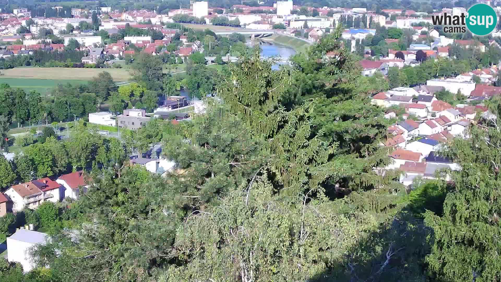 Webcam Karlstadt Burg Dubovac – Liveblick auf das historische Wahrzeichen