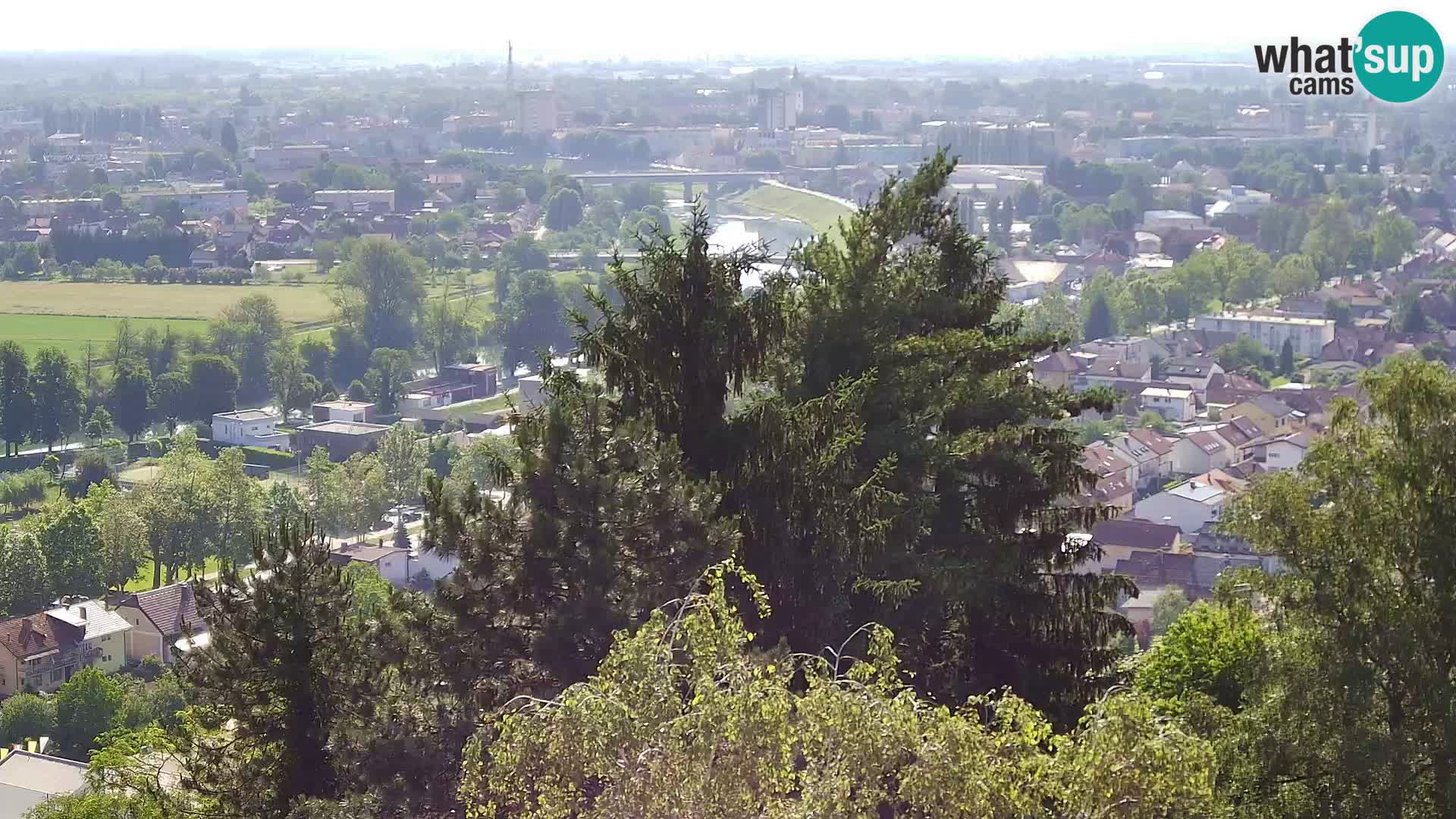 Webcam Karlstadt Burg Dubovac – Liveblick auf das historische Wahrzeichen
