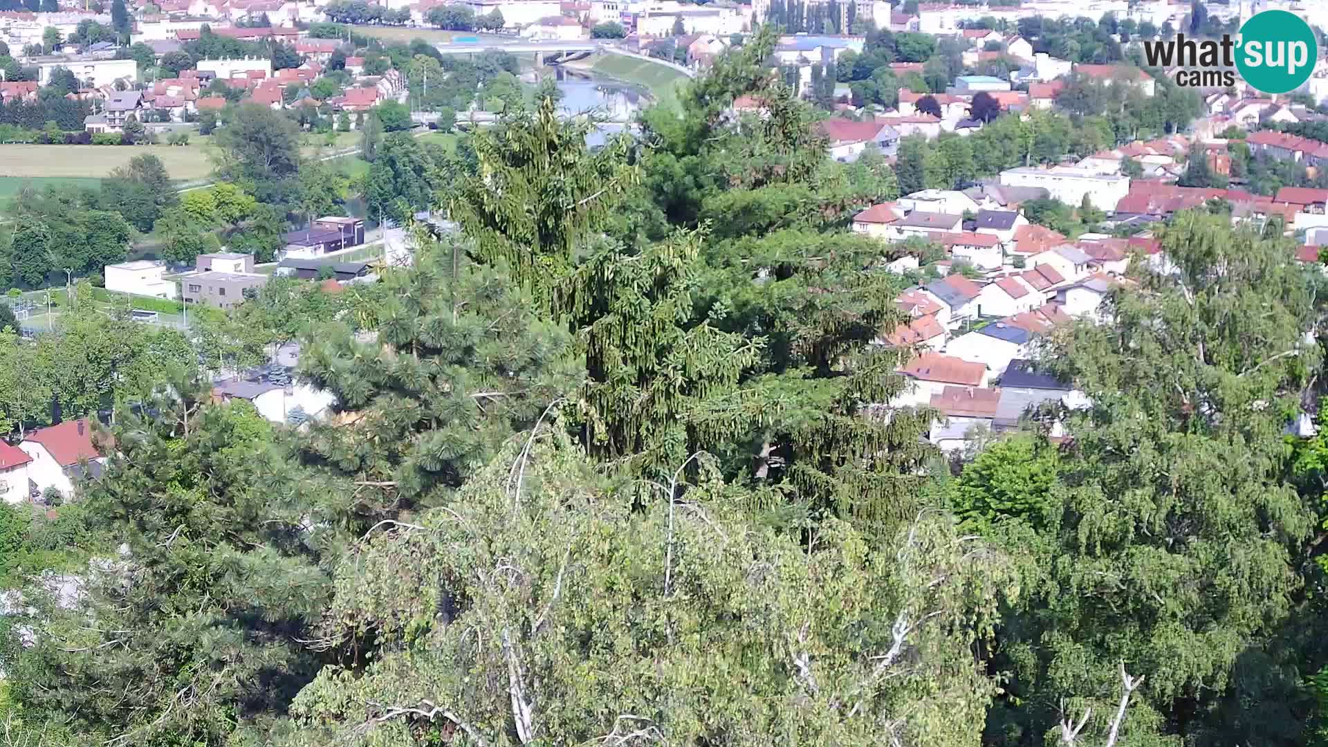 Webcam Karlstadt Burg Dubovac – Liveblick auf das historische Wahrzeichen
