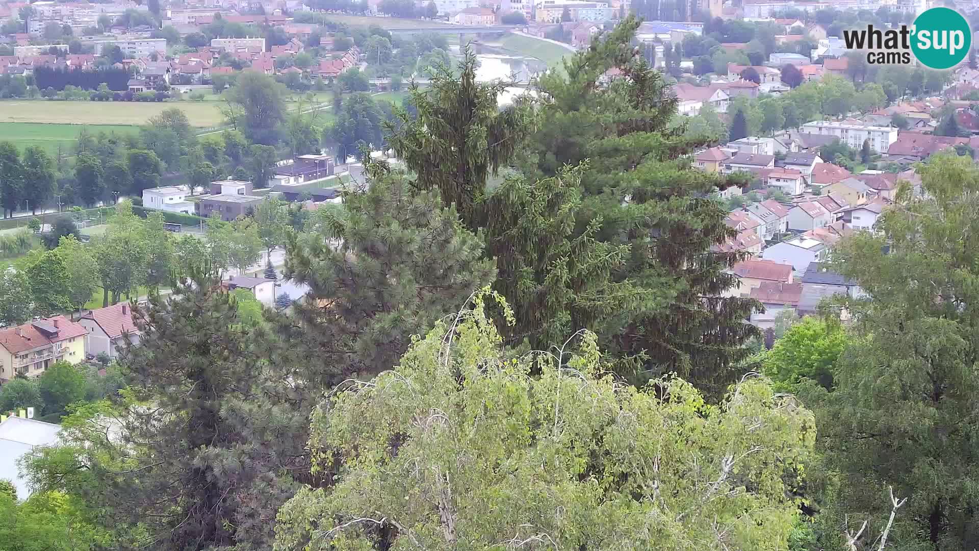 Spletna kamera Karlovac Dubovac grad – Pogled v živo na zgodovinsko znamenitost Karlovca