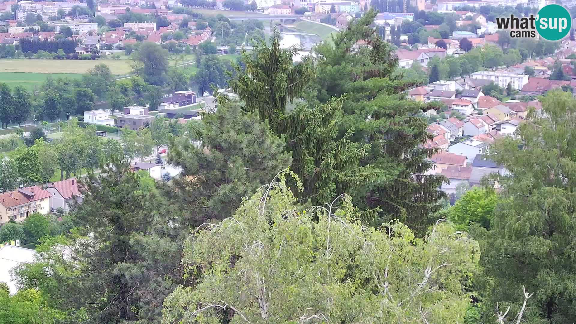Webcam Karlstadt Burg Dubovac – Liveblick auf das historische Wahrzeichen
