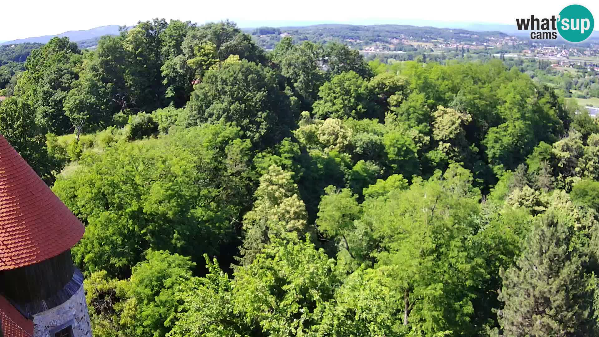 Webcam Karlovac Château Dubovac – Vue en direct de ce monument historique