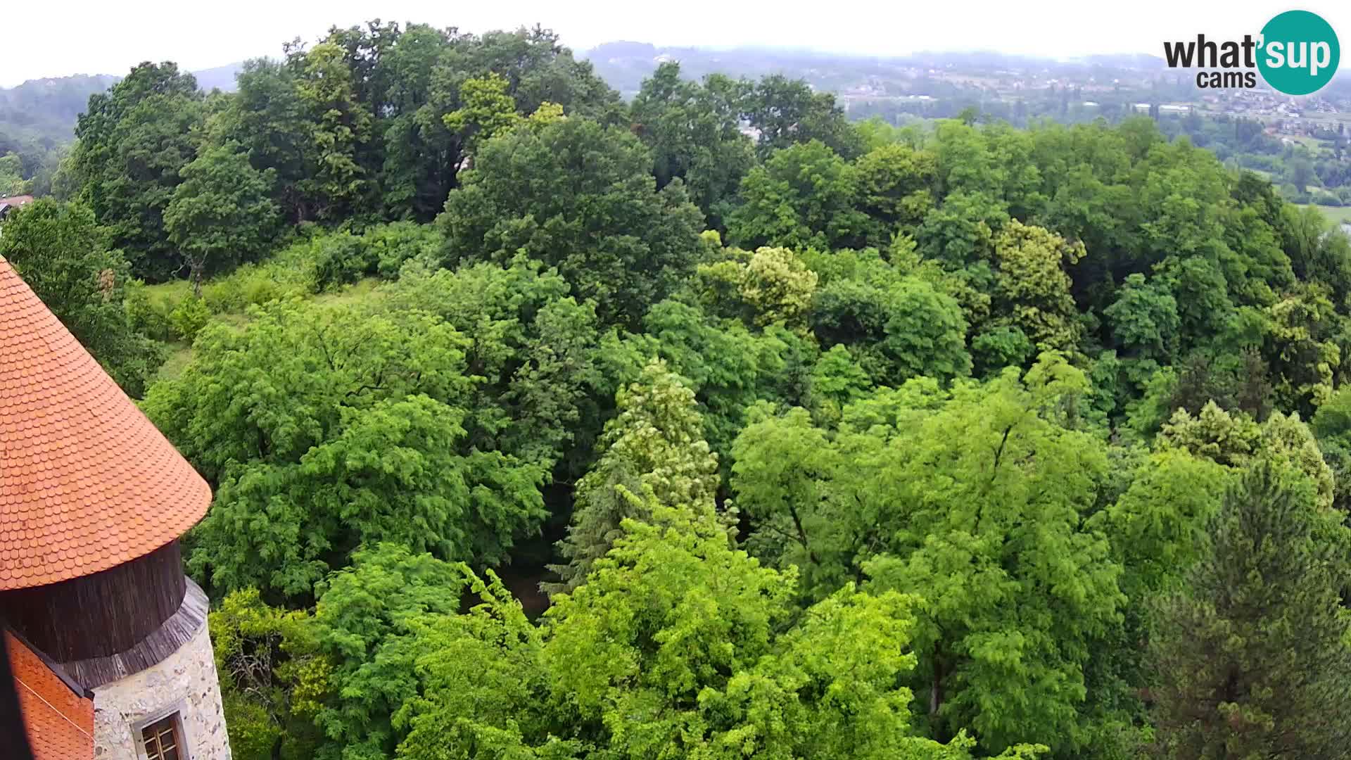 Webcam Karlovac Château Dubovac – Vue en direct de ce monument historique