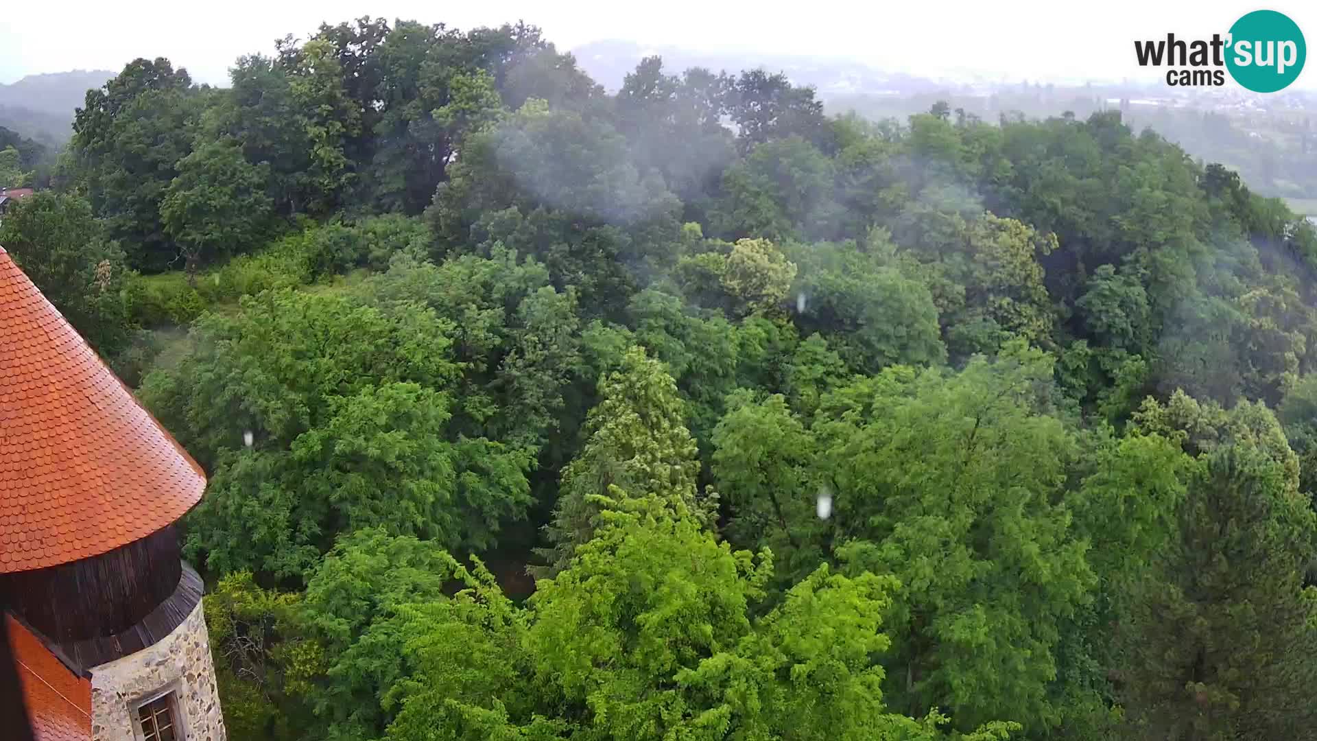 Webcam Castello Dubovac Karlovac – Vista Live sul Castello Storico
