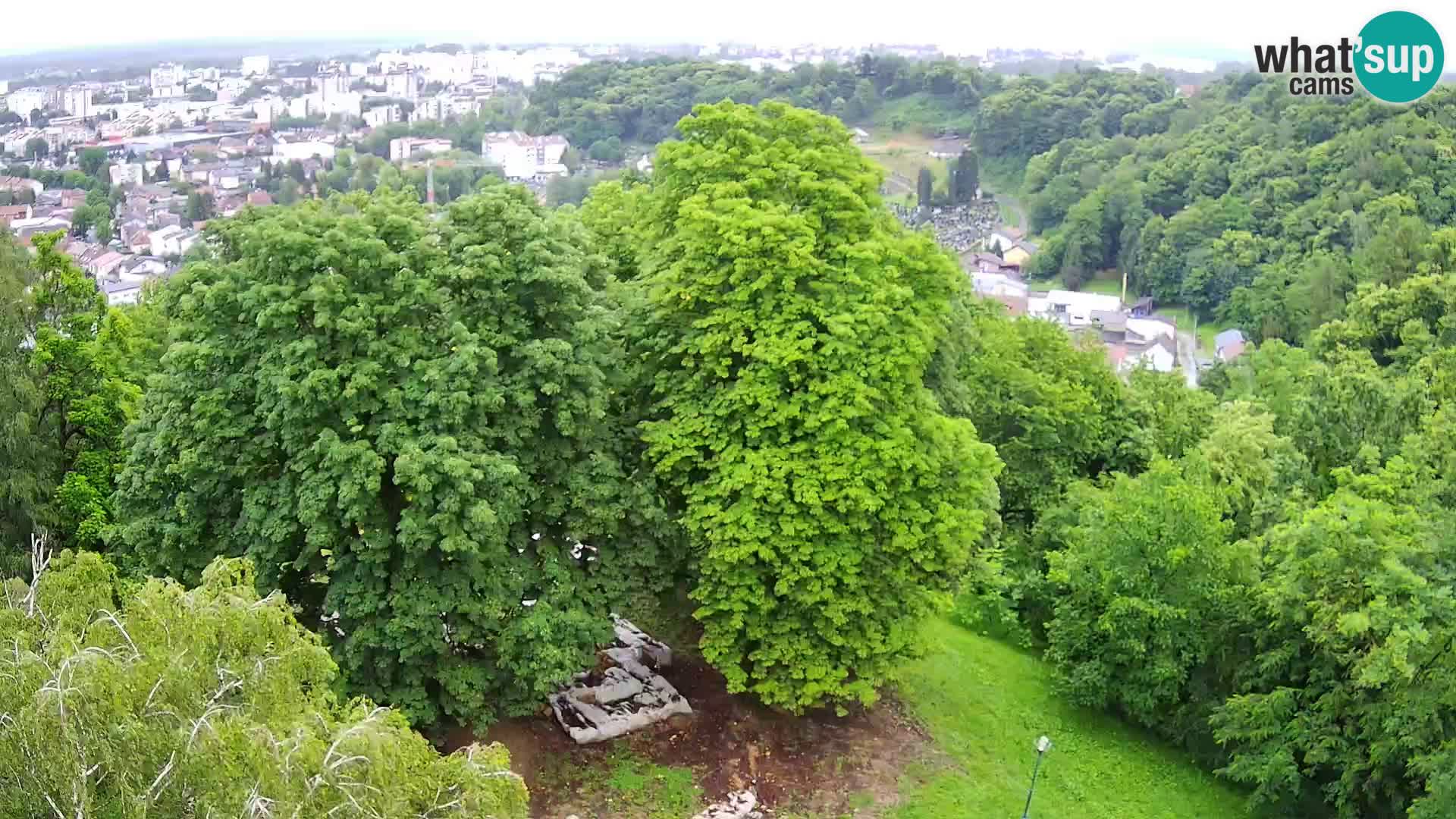 Webcam Castillo Dubovac Karlovac – Vista en directo del histórico castillo