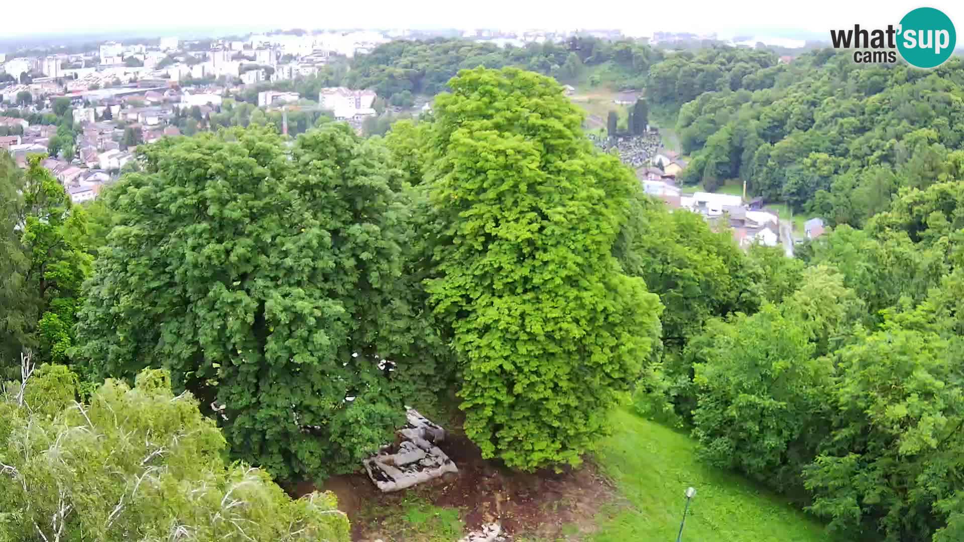 Webcam Castello Dubovac Karlovac – Vista Live sul Castello Storico