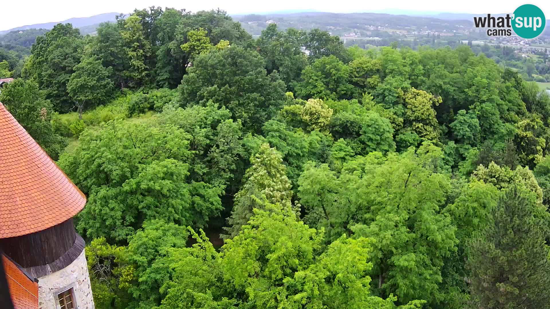 Webcam Karlovac Dubovac Castle – Live View of Karlovac’s Historic Landmark
