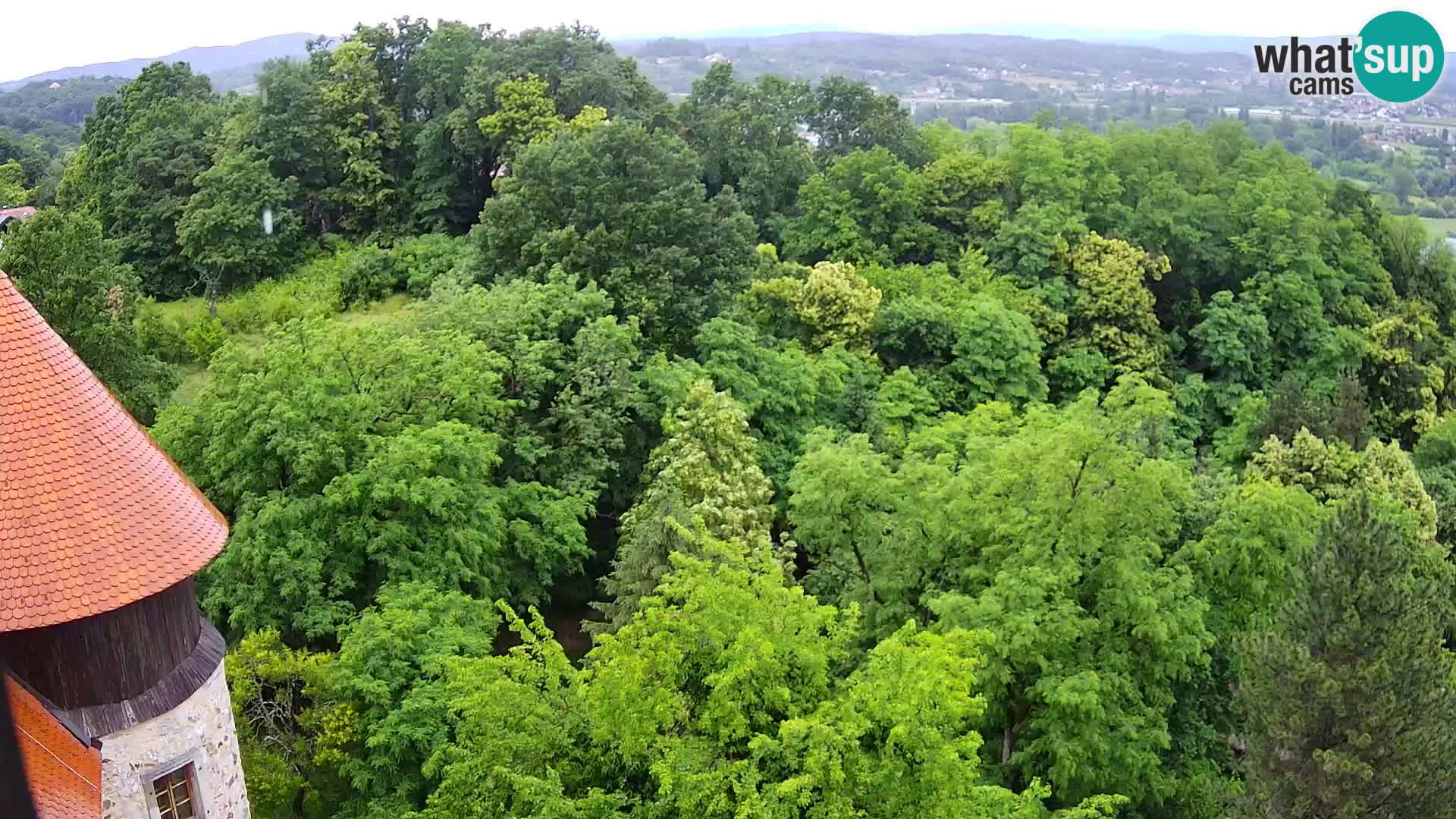 Webcam Castello Dubovac Karlovac – Vista Live sul Castello Storico