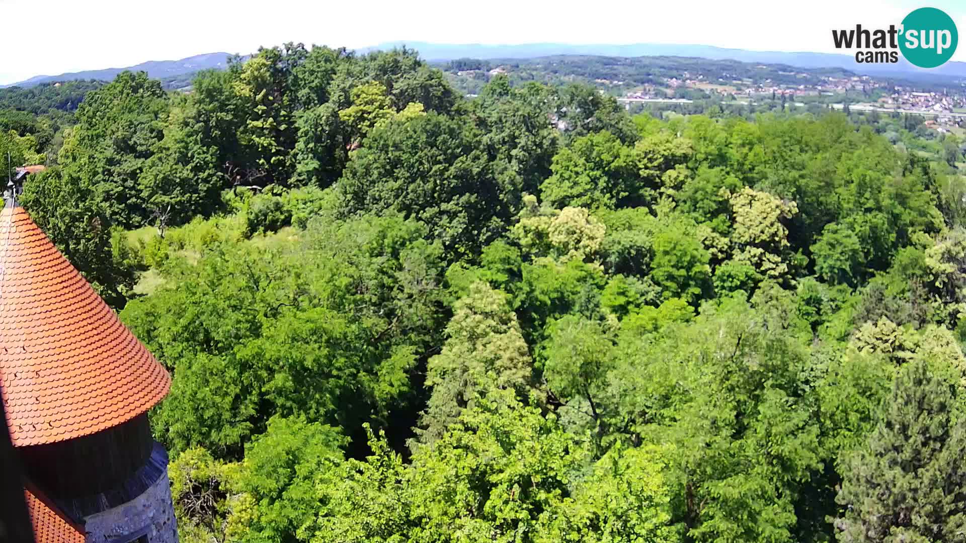 Webcam Castillo Dubovac Karlovac – Vista en directo del histórico castillo