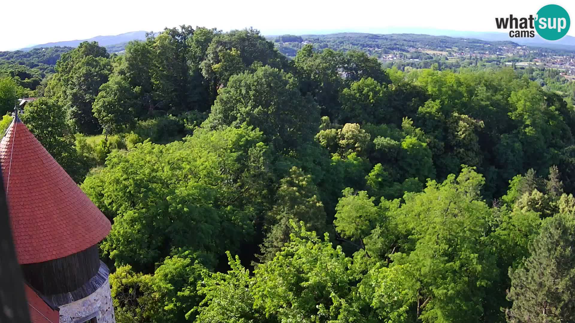 Webcam Castillo Dubovac Karlovac – Vista en directo del histórico castillo