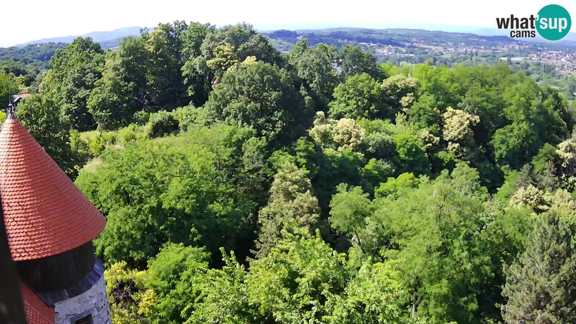 Webcam Karlstadt Burg Dubovac – Liveblick auf das historische Wahrzeichen