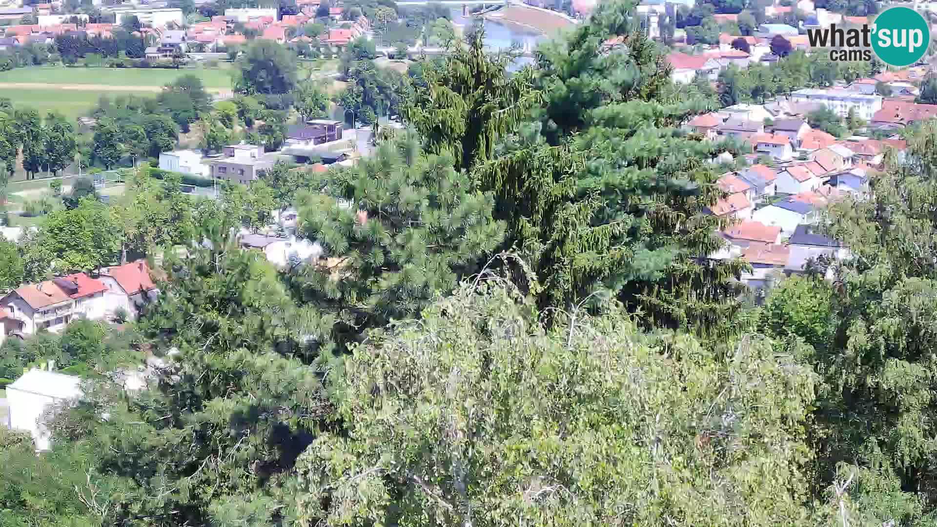 Web kamera Karlovac – Dvorac Dubovac uživo