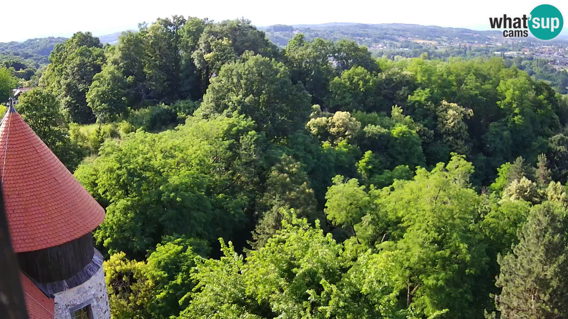 Webcam Castillo Dubovac Karlovac – Vista en directo del histórico castillo