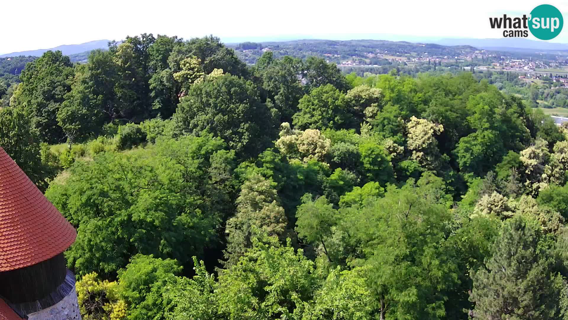 Webcam Castello Dubovac Karlovac – Vista Live sul Castello Storico