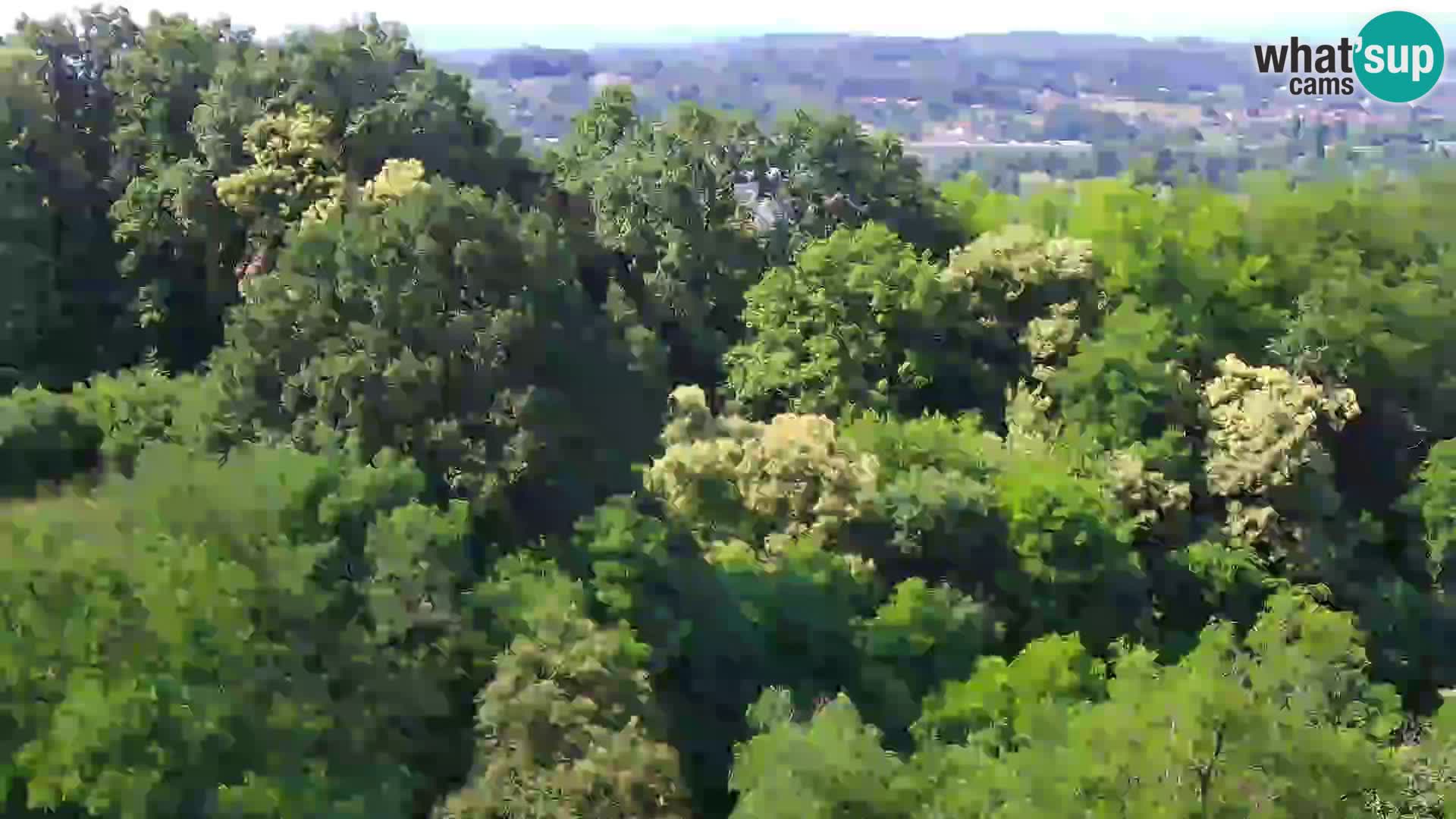 Webcam Karlovac Dubovac Castle – Live View of Karlovac’s Historic Landmark