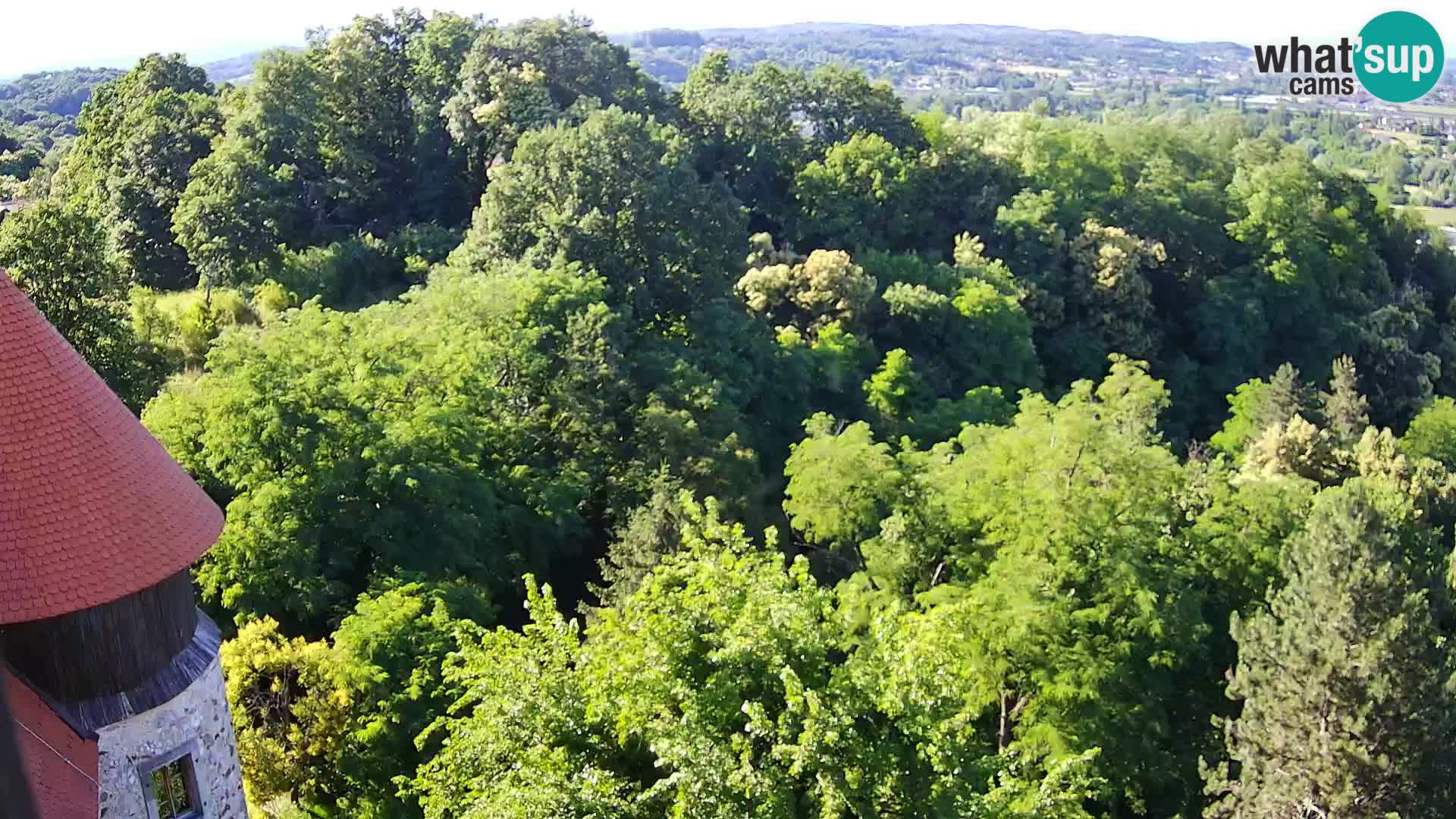 Webcam Karlovac Château Dubovac – Vue en direct de ce monument historique