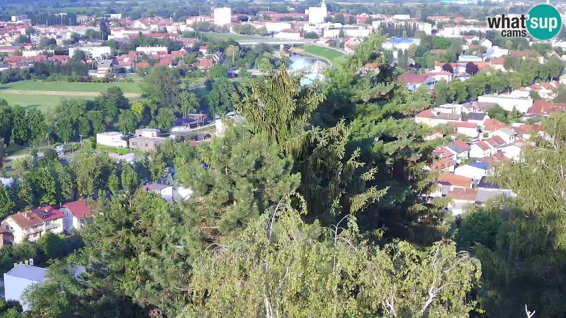 Webcam Karlstadt Burg Dubovac – Liveblick auf das historische Wahrzeichen
