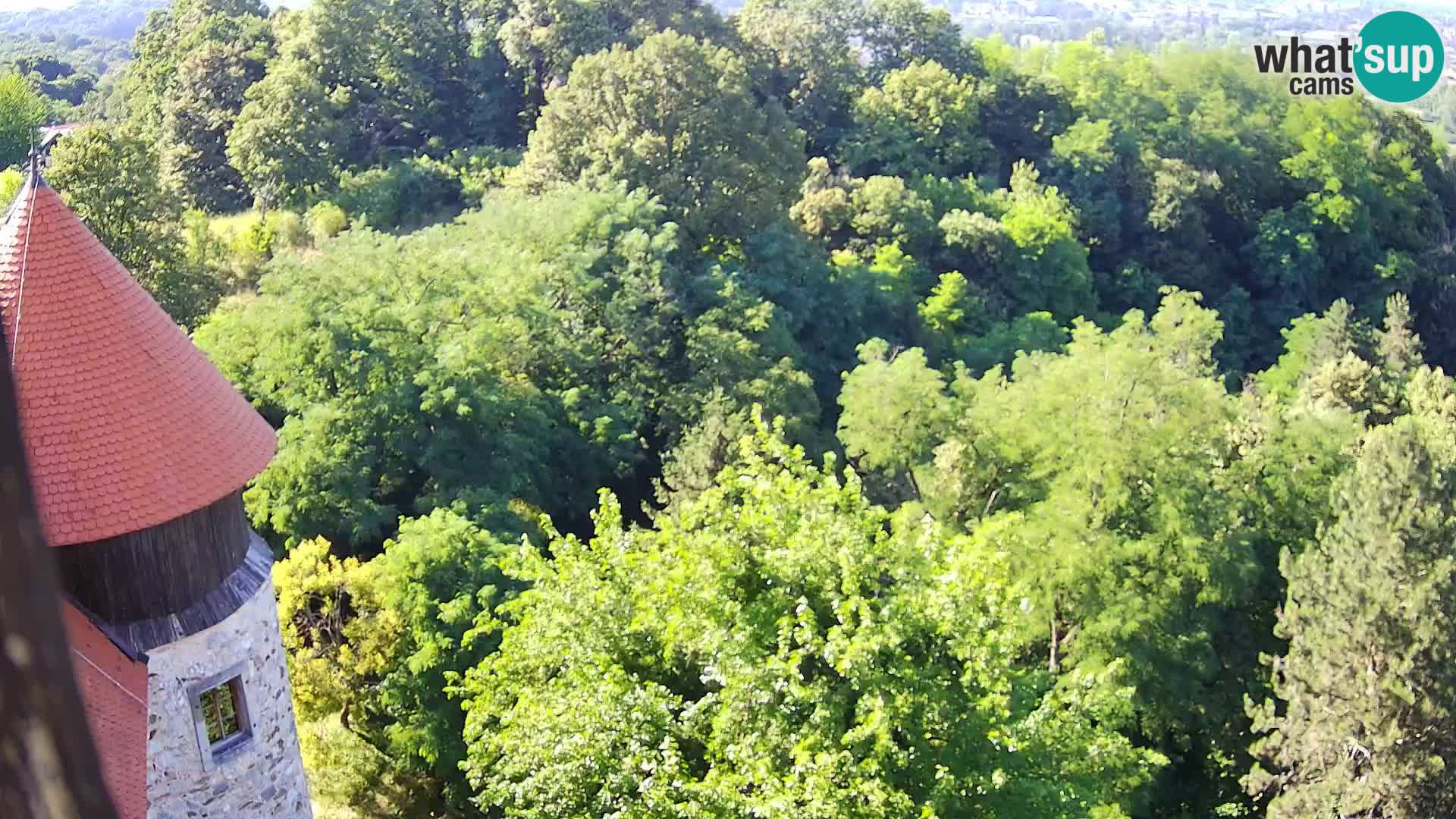 Webcam Karlstadt Burg Dubovac – Liveblick auf das historische Wahrzeichen