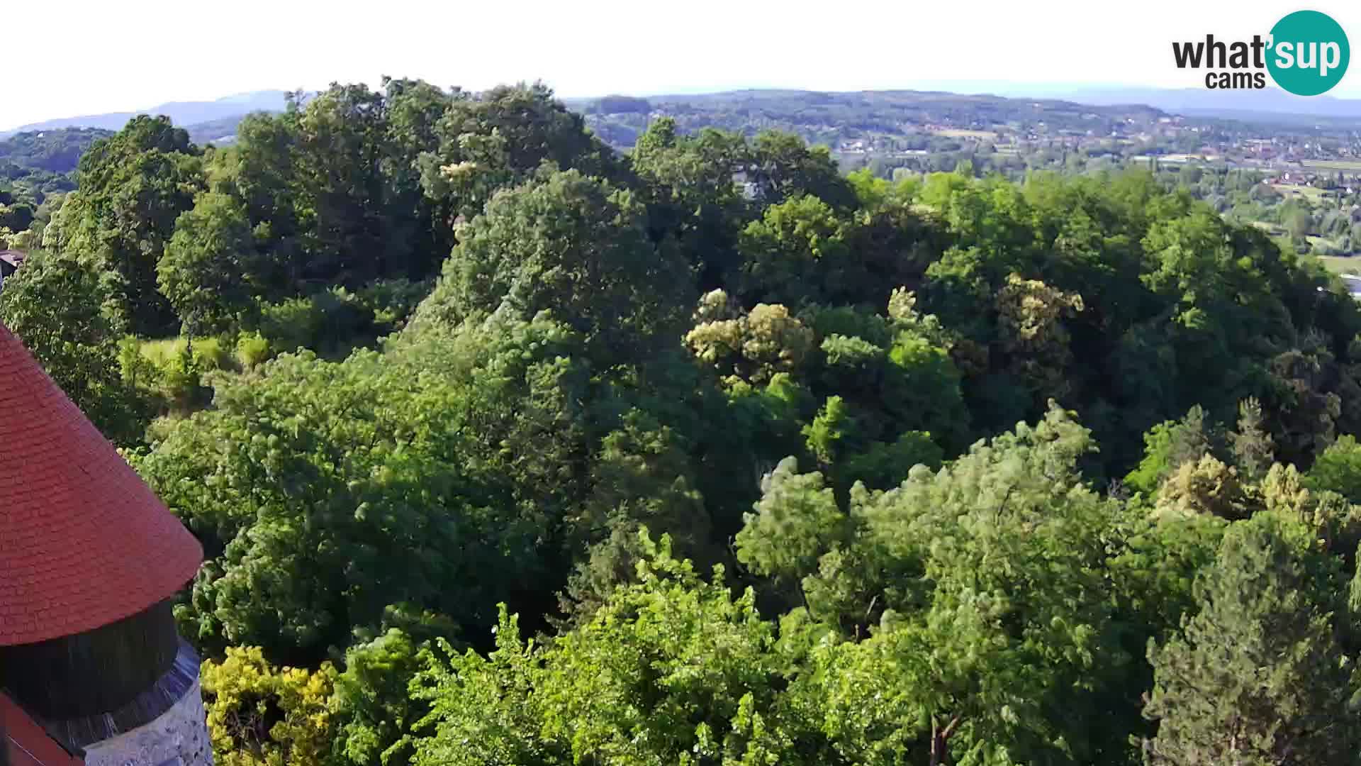 Webcam Castillo Dubovac Karlovac – Vista en directo del histórico castillo
