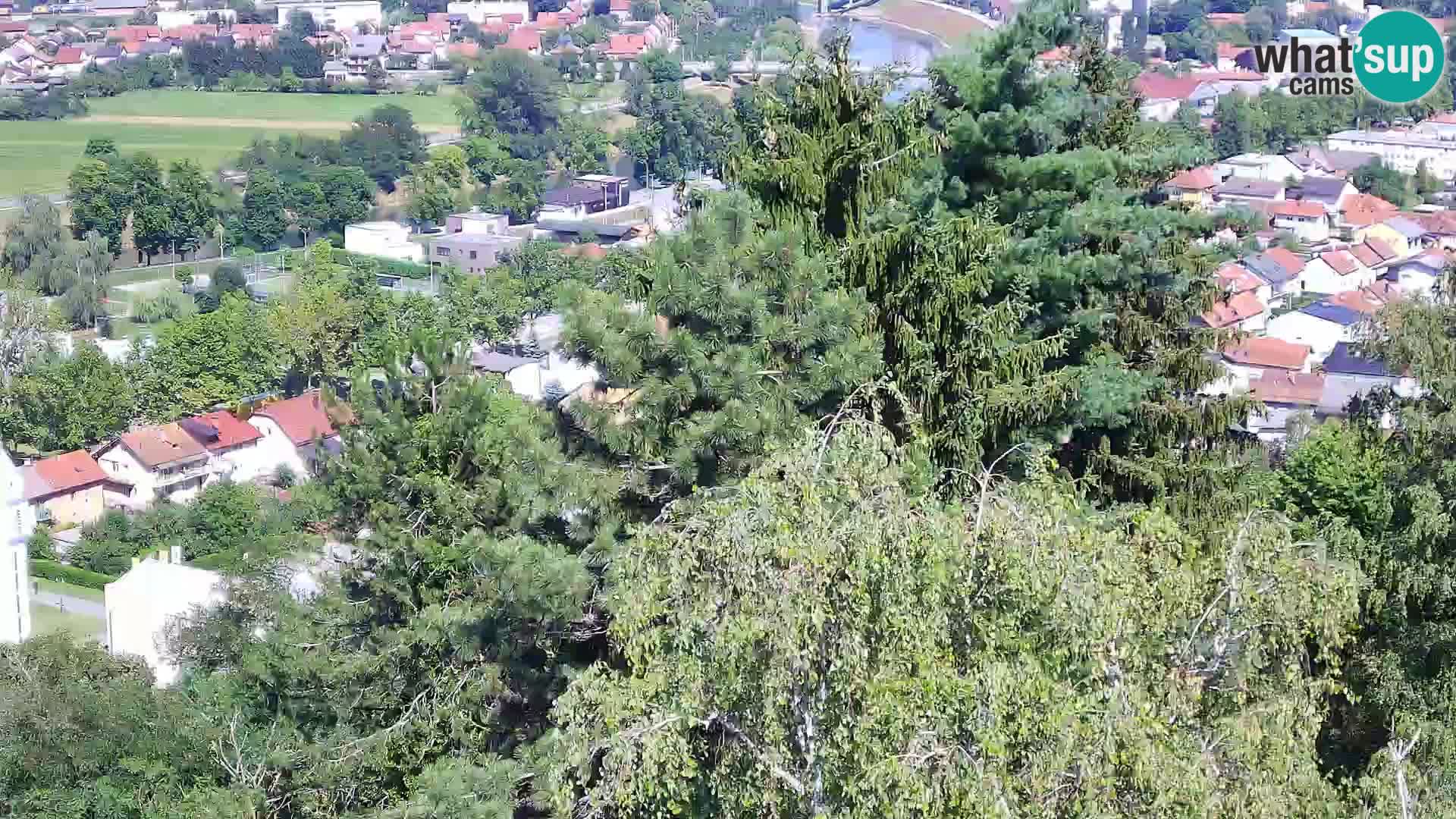 Webcam Castello Dubovac Karlovac – Vista Live sul Castello Storico