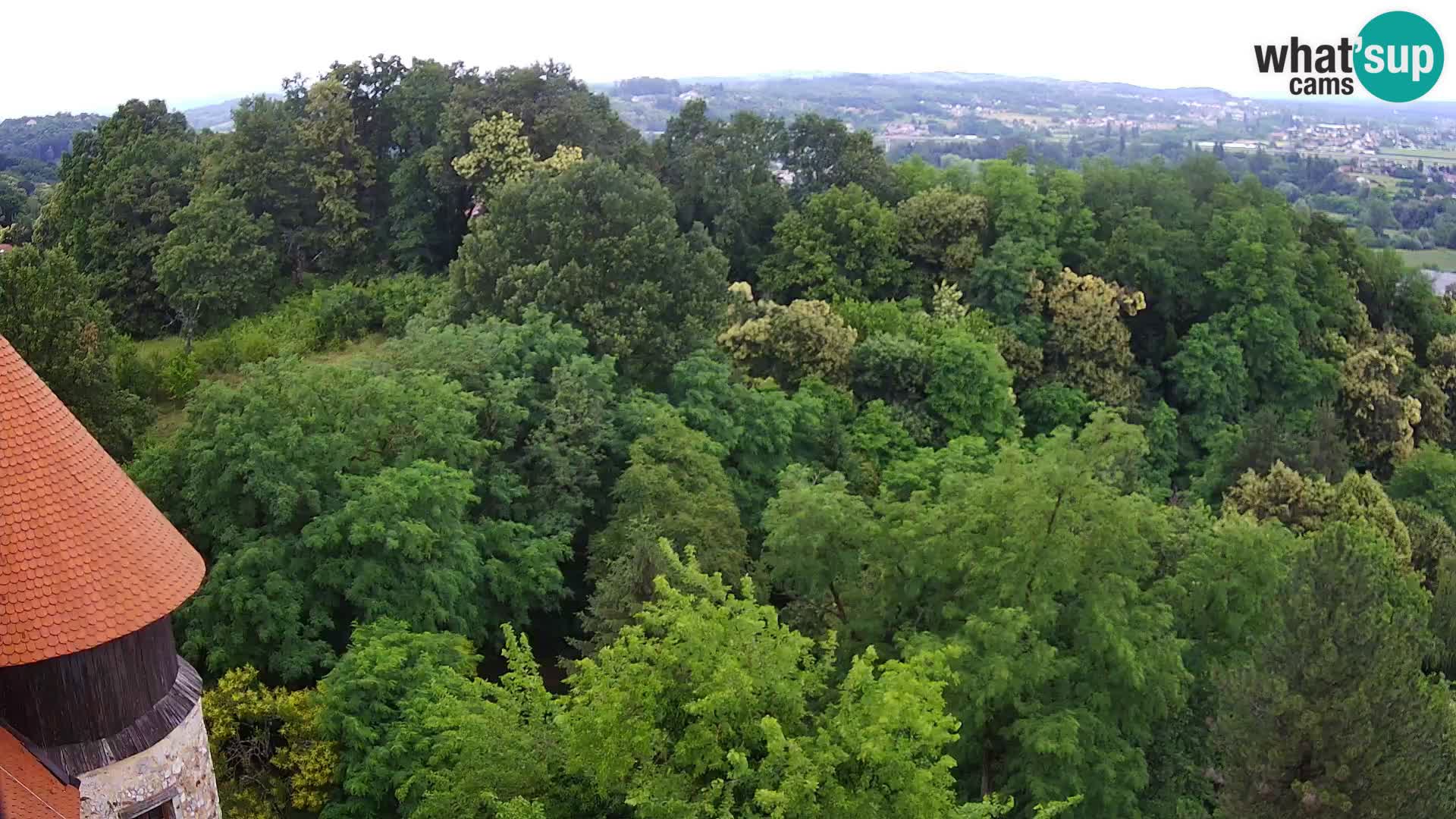 Webcam Karlstadt Burg Dubovac – Liveblick auf das historische Wahrzeichen